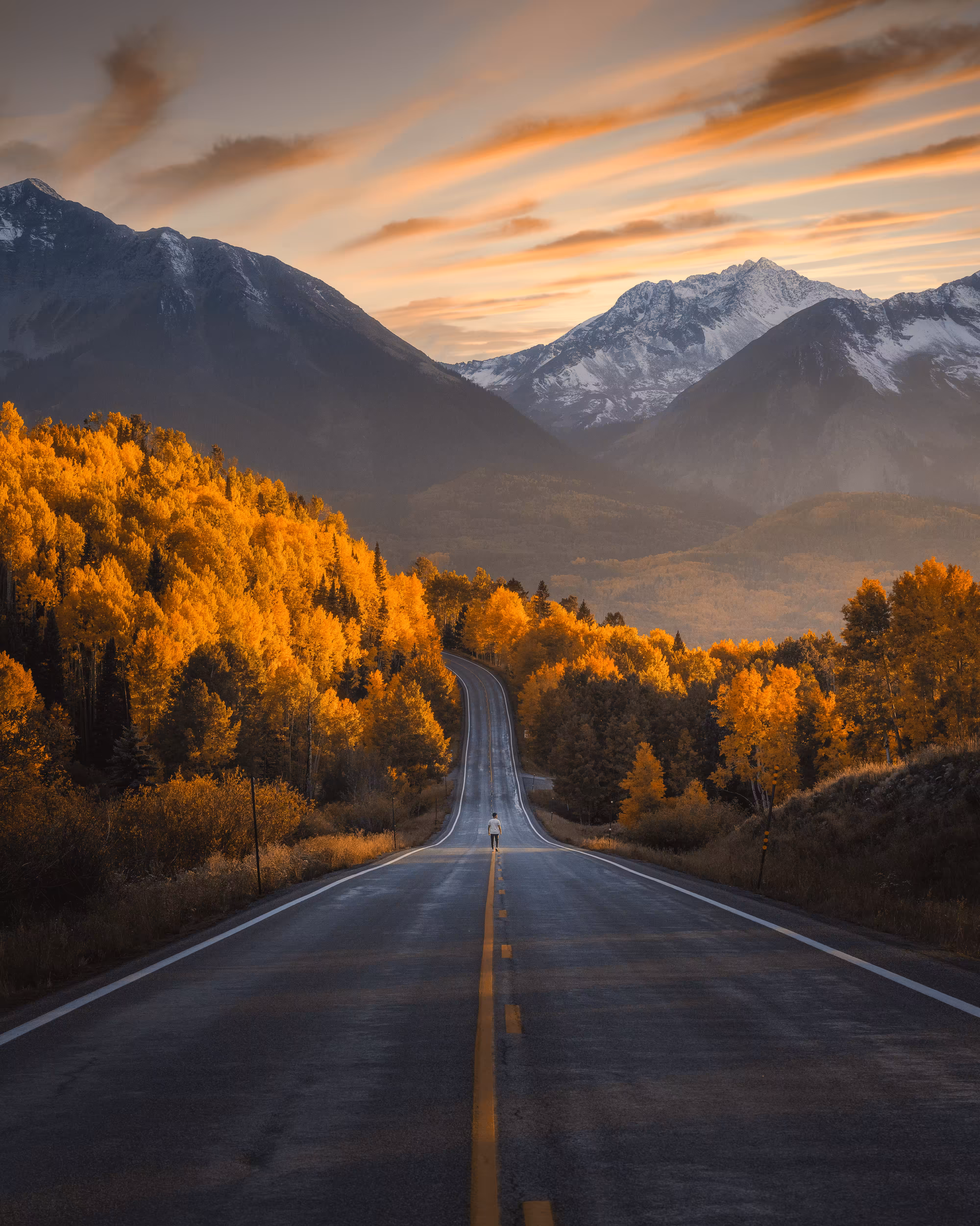 #65 Road to Success