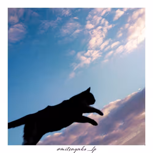 Cat Silhouette #003