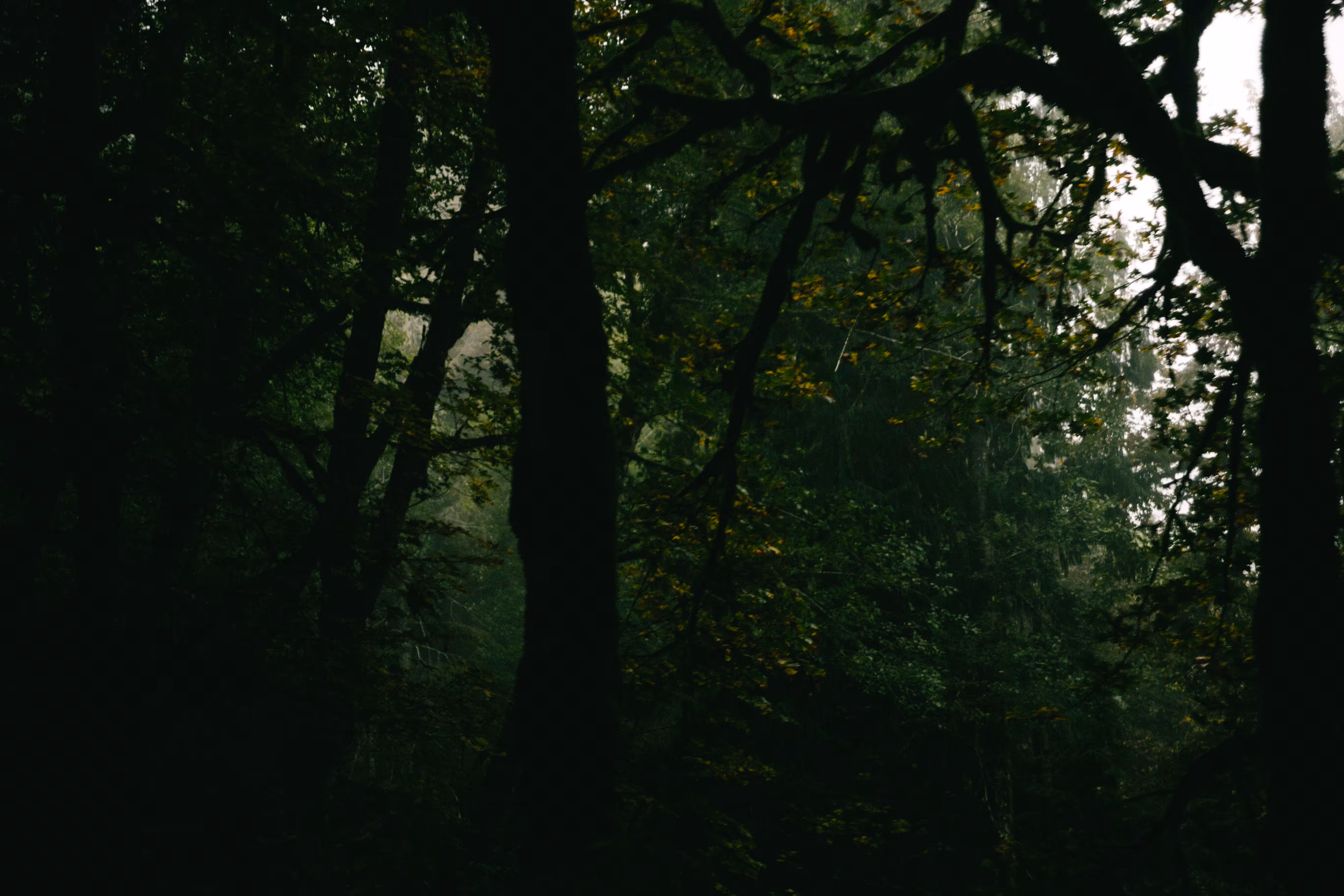 lost