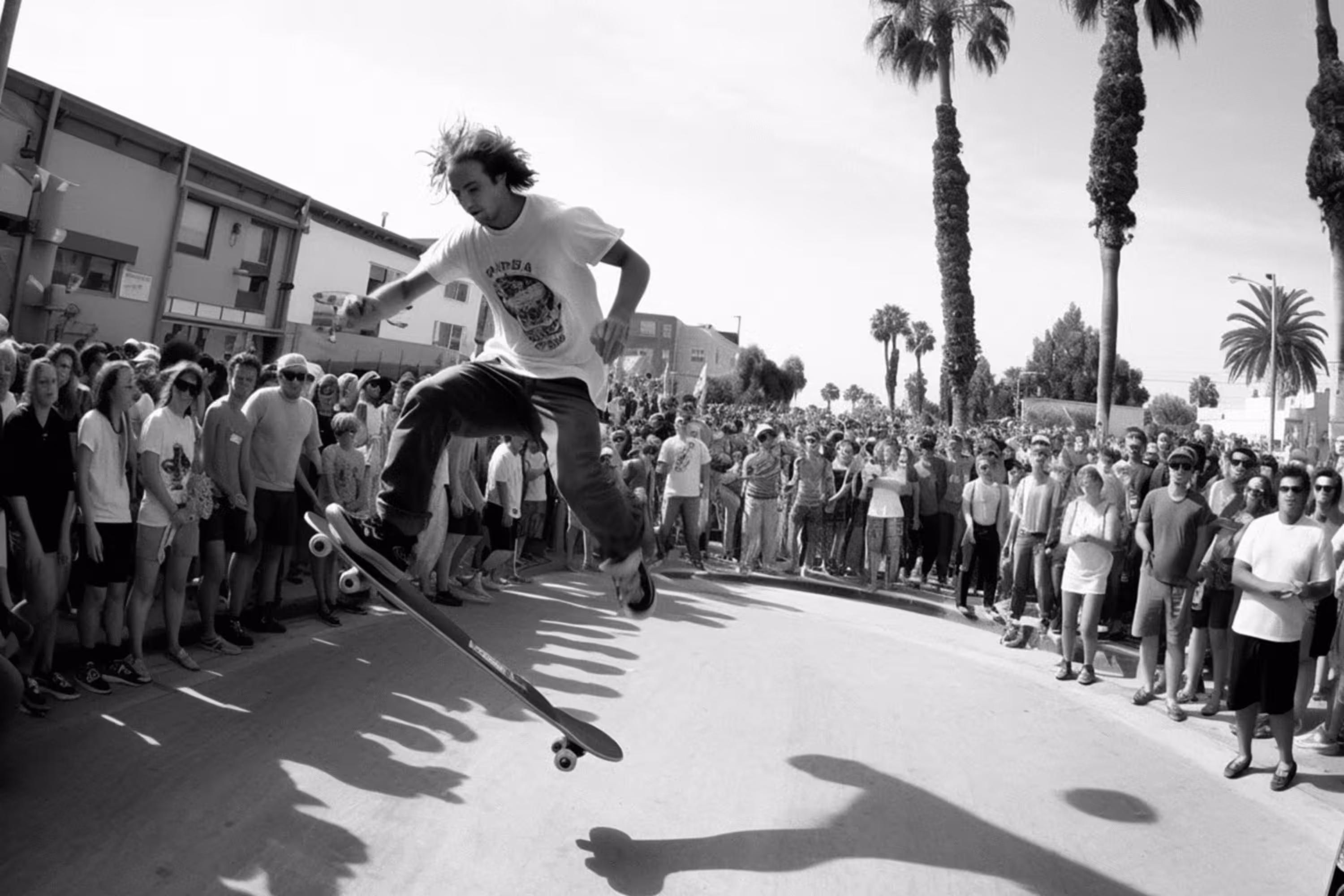 Rad_356