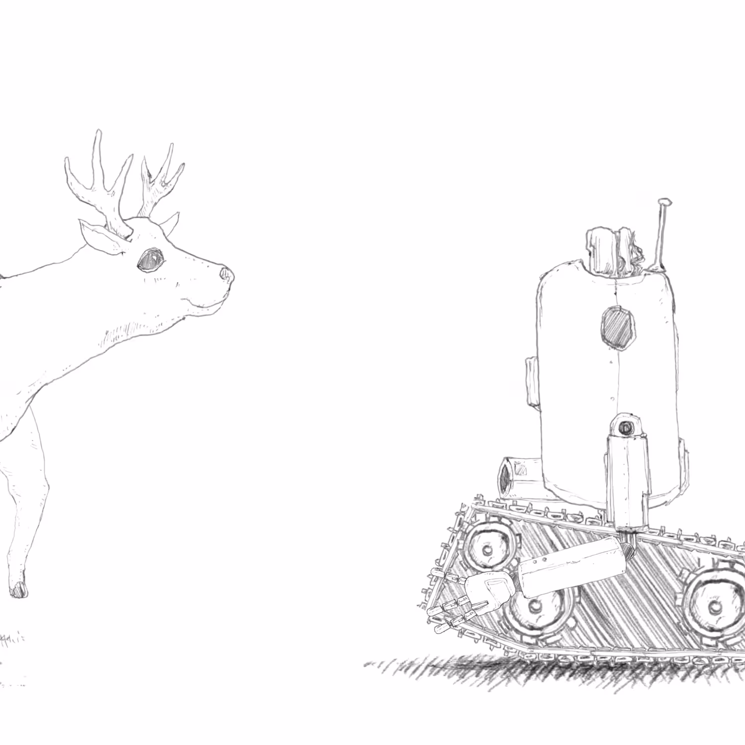Dear Deer