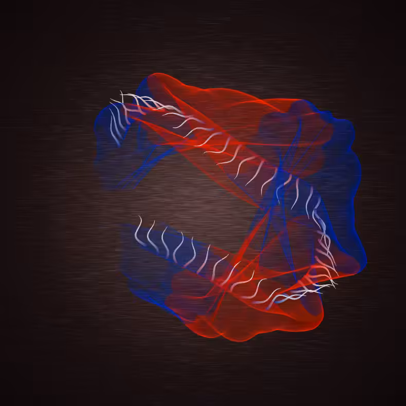 Flimsy #5