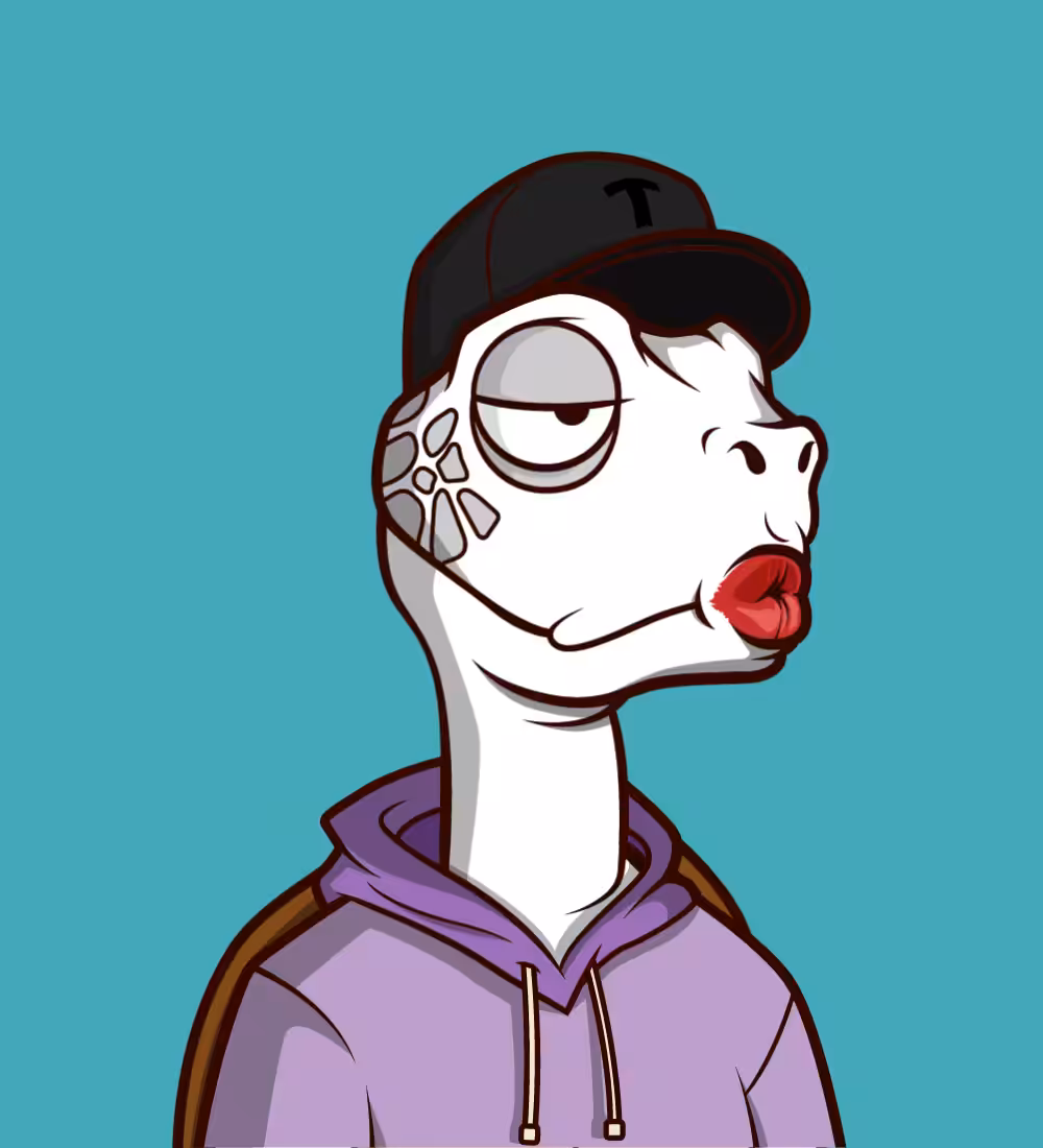 Tiny Turtle 18