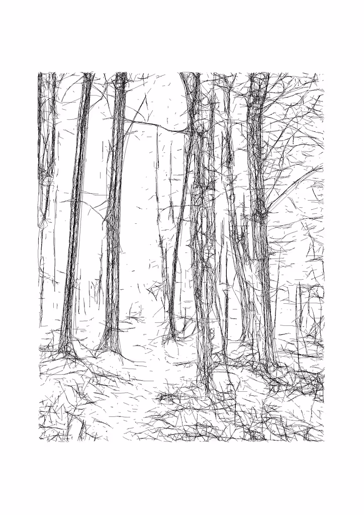 Woods