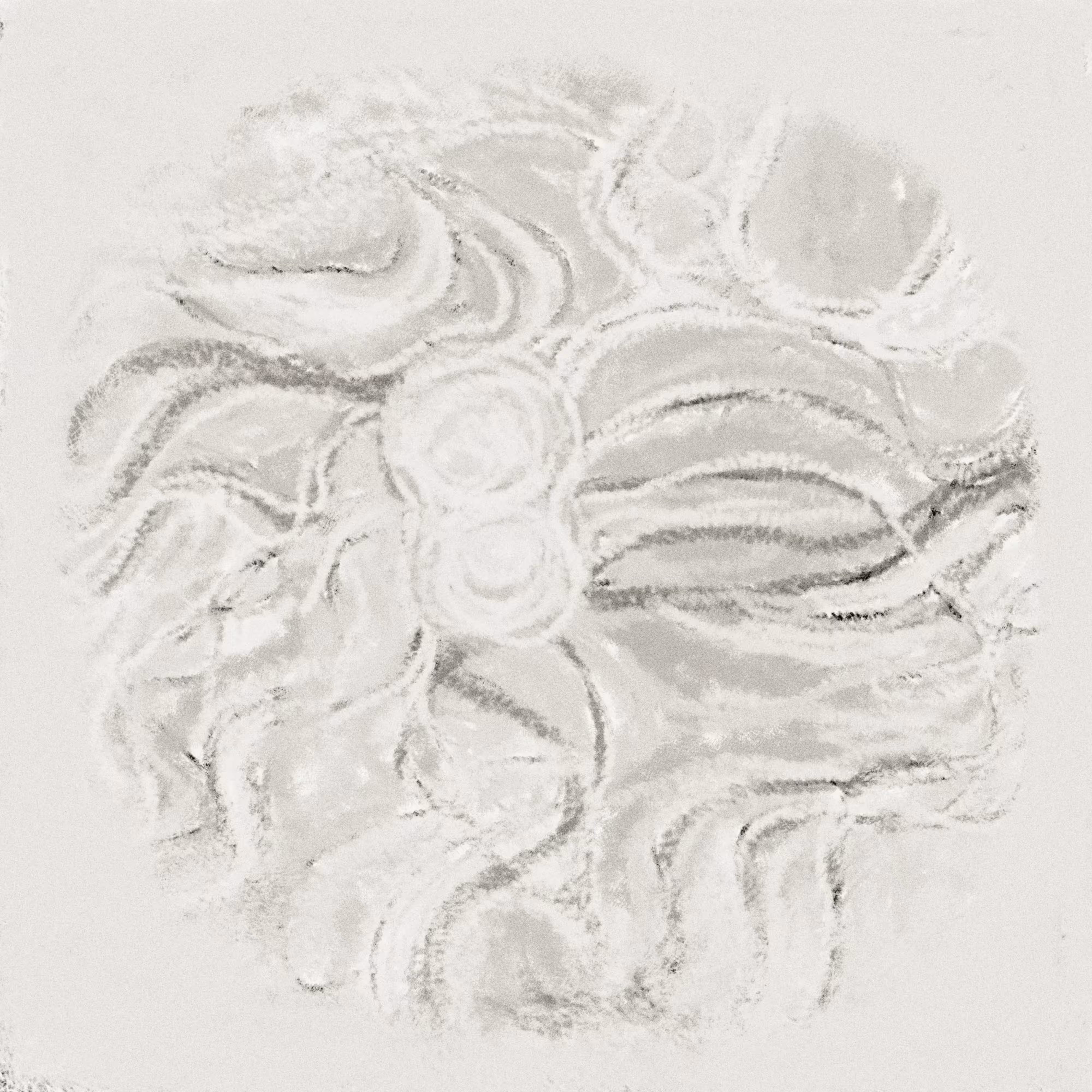 Shapes rw641r