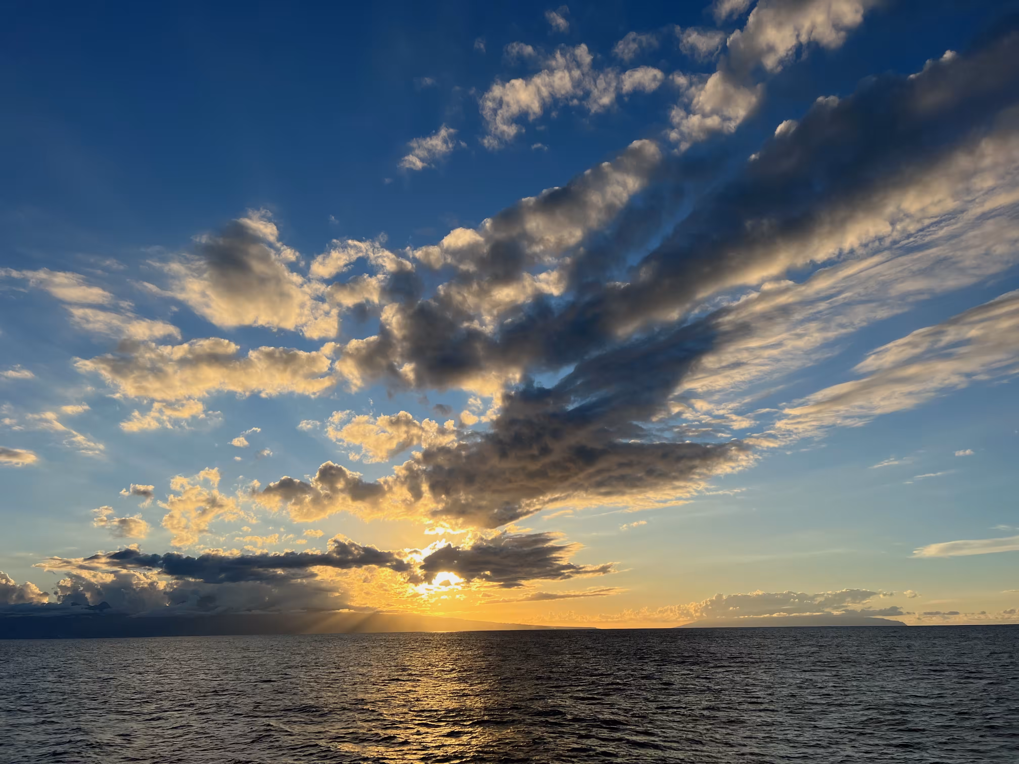 Molokai Wonder 3