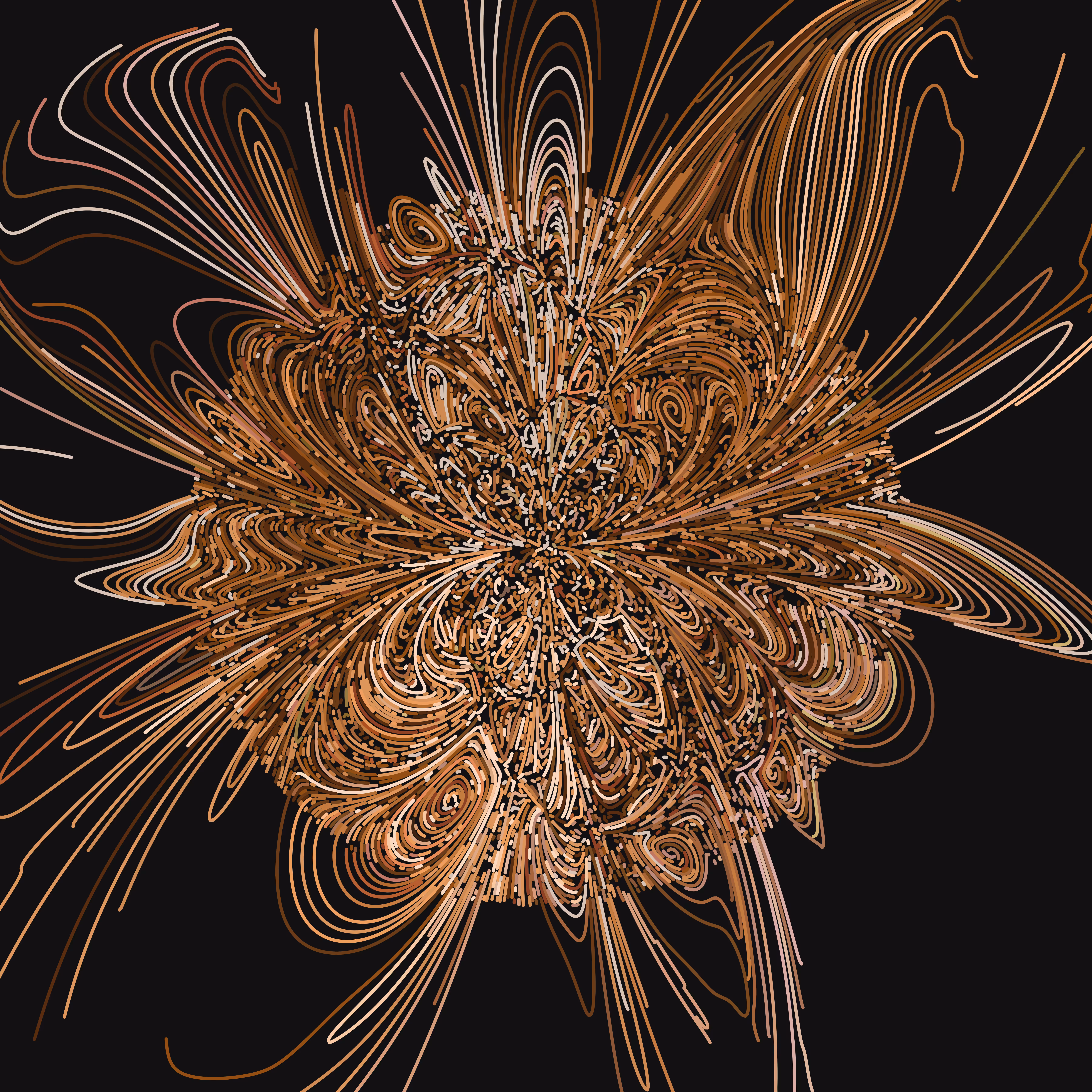 curl.erupt.bronze