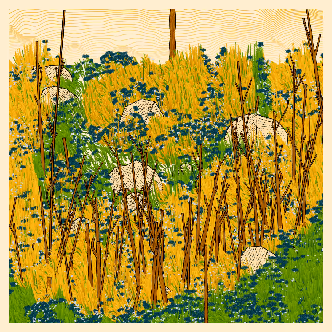 Bagh #18