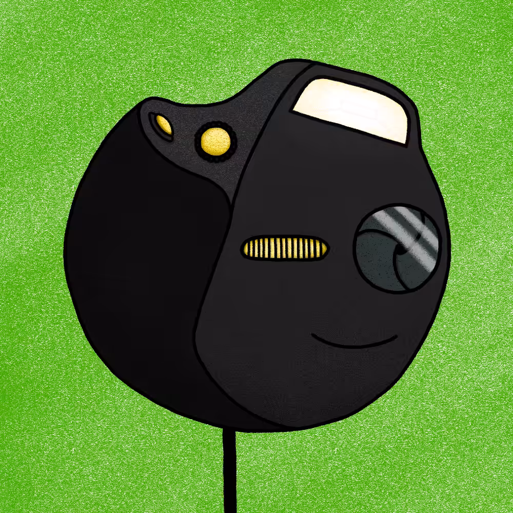 Photography Contest - Camera StickHen