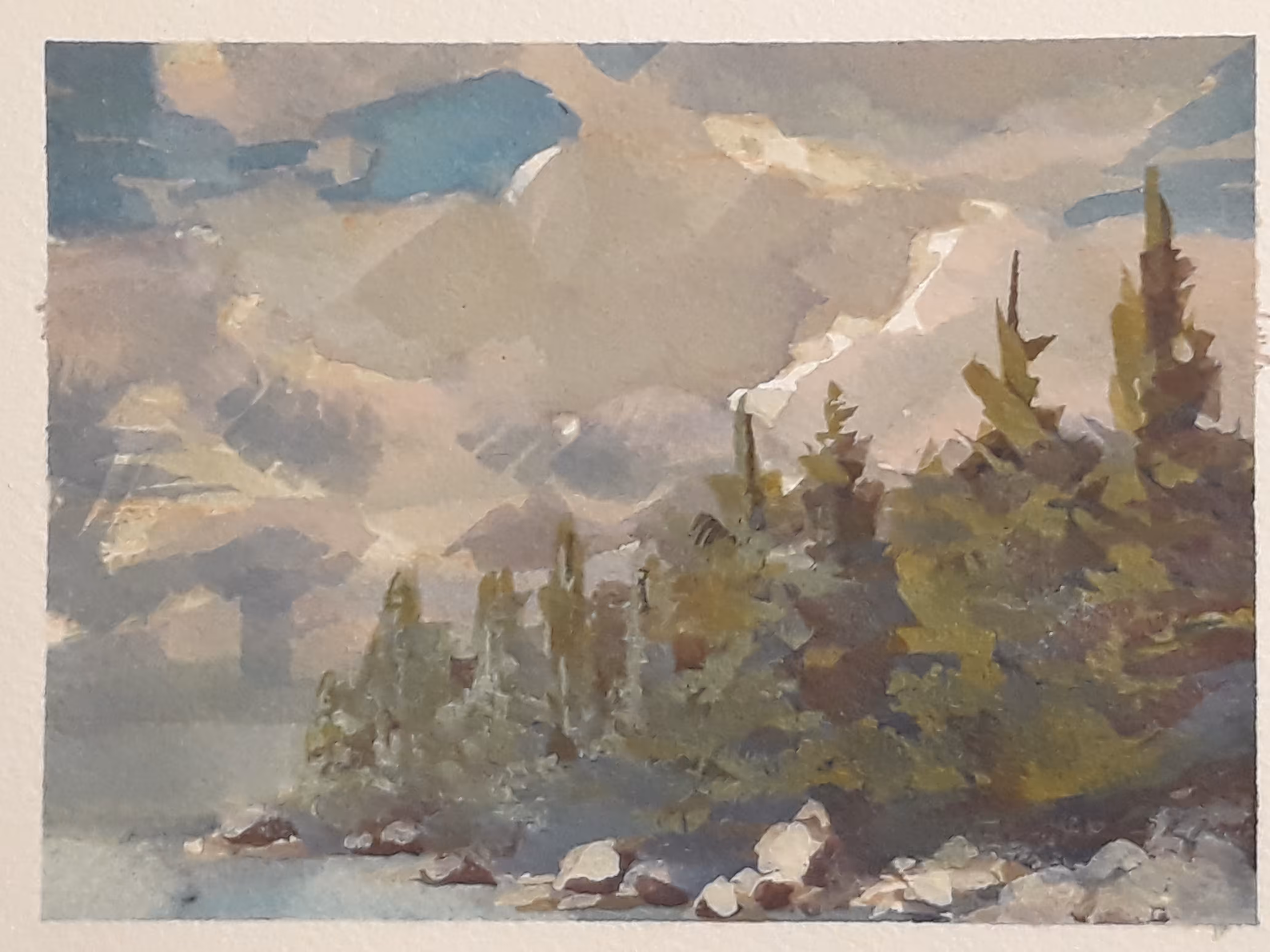 Deep Cove Pines