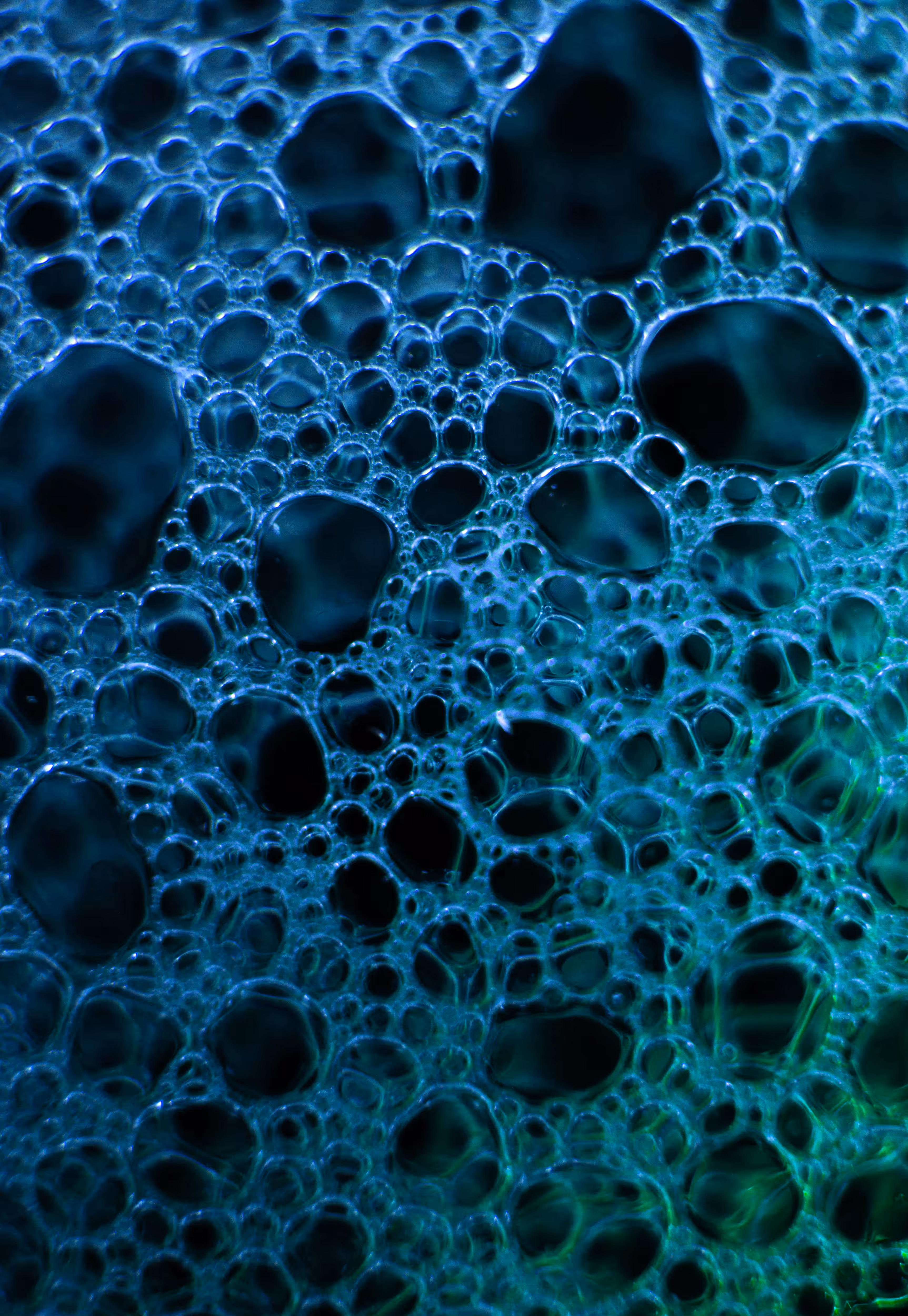 #13 Bubbles