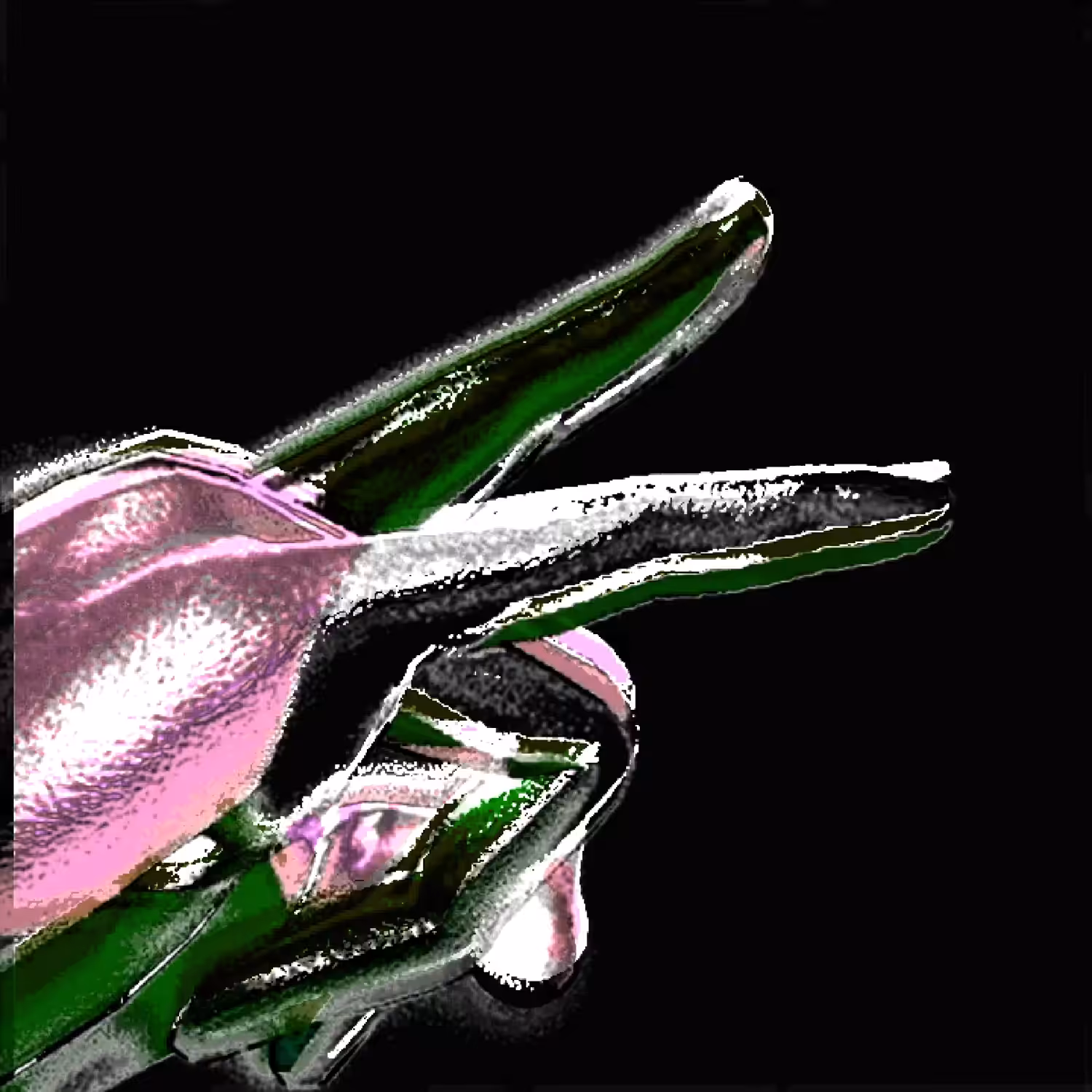 S.O.T.P / 'GM PUNKIES !' edit