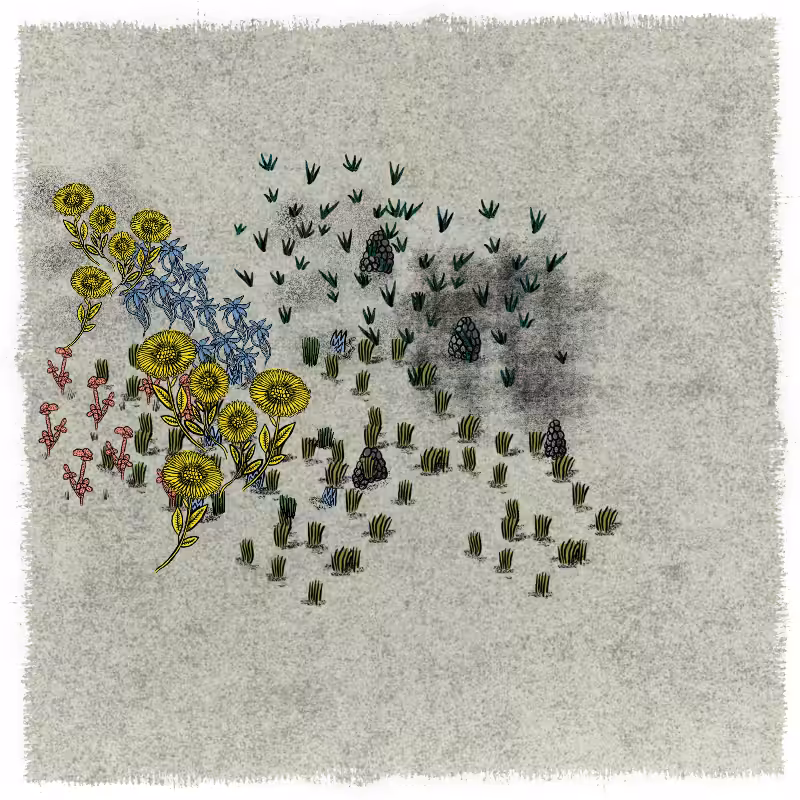 Gardens  #164
