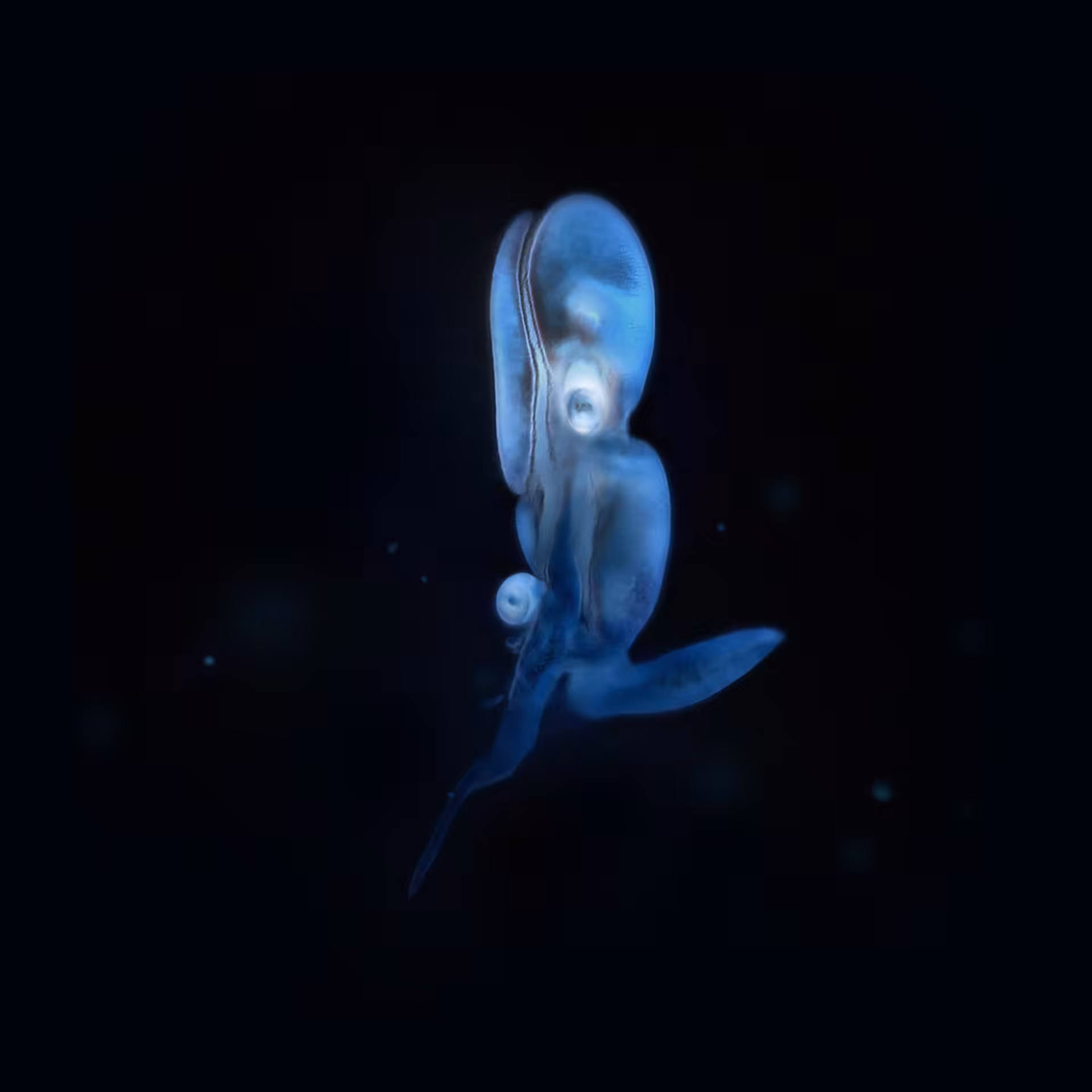 Sperma 79