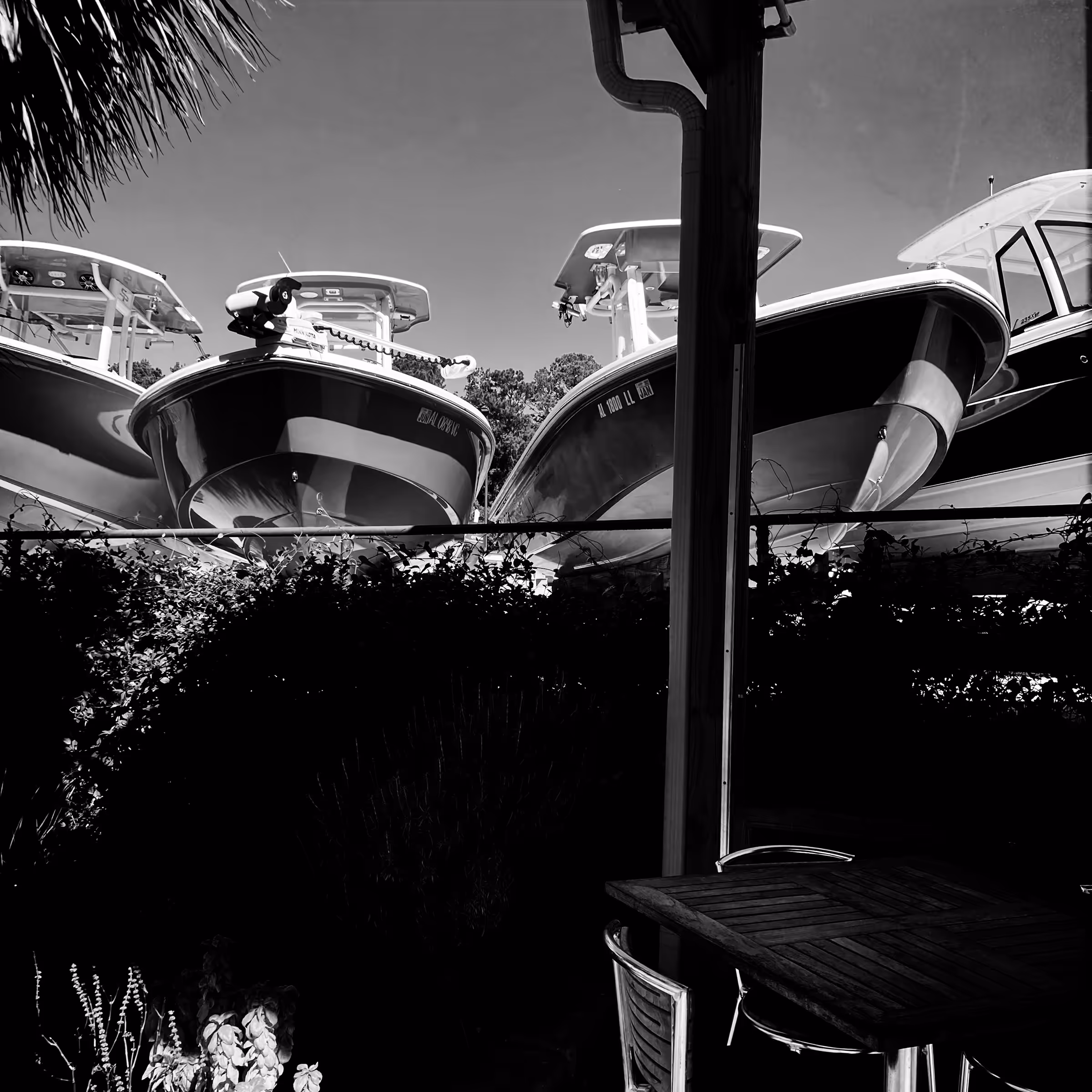 Untitled (Fairhope, Alabama, 2021)