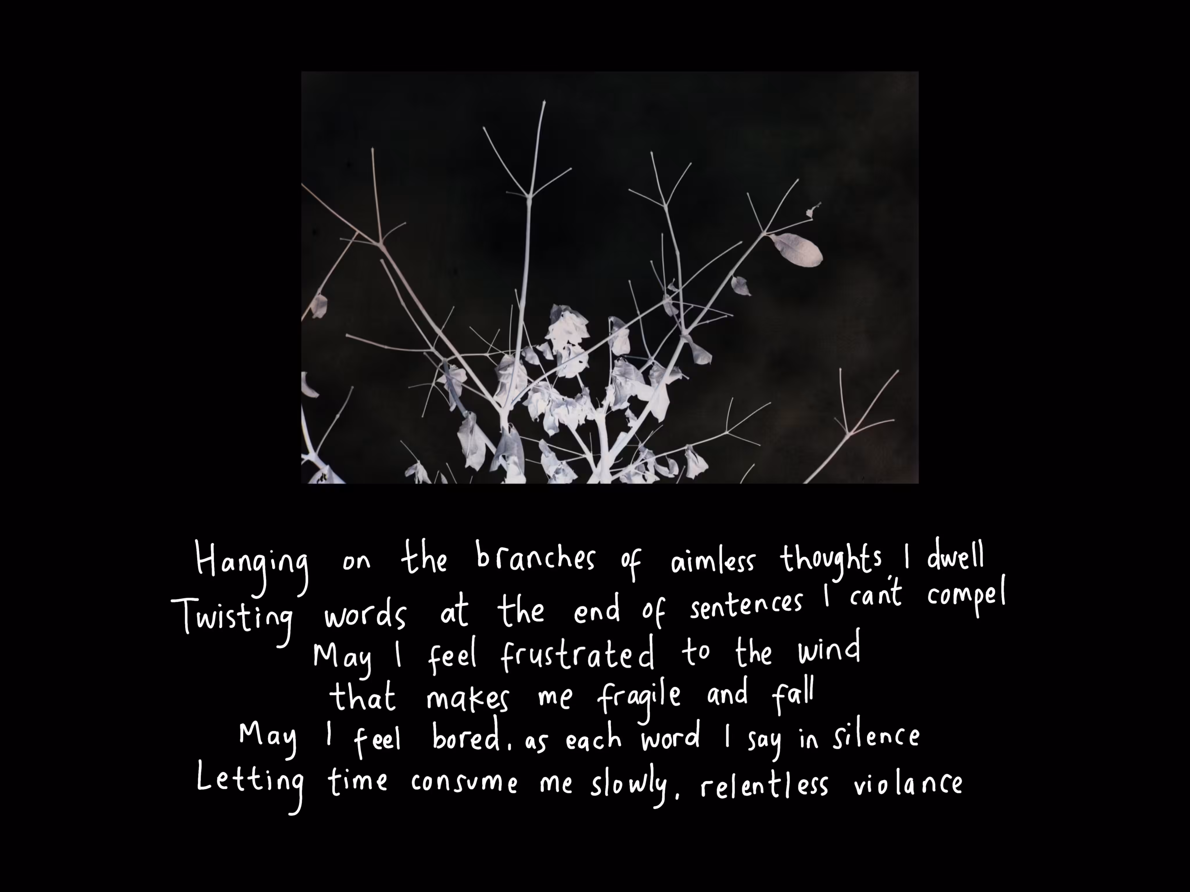 #blametezos - Hanging on the branches