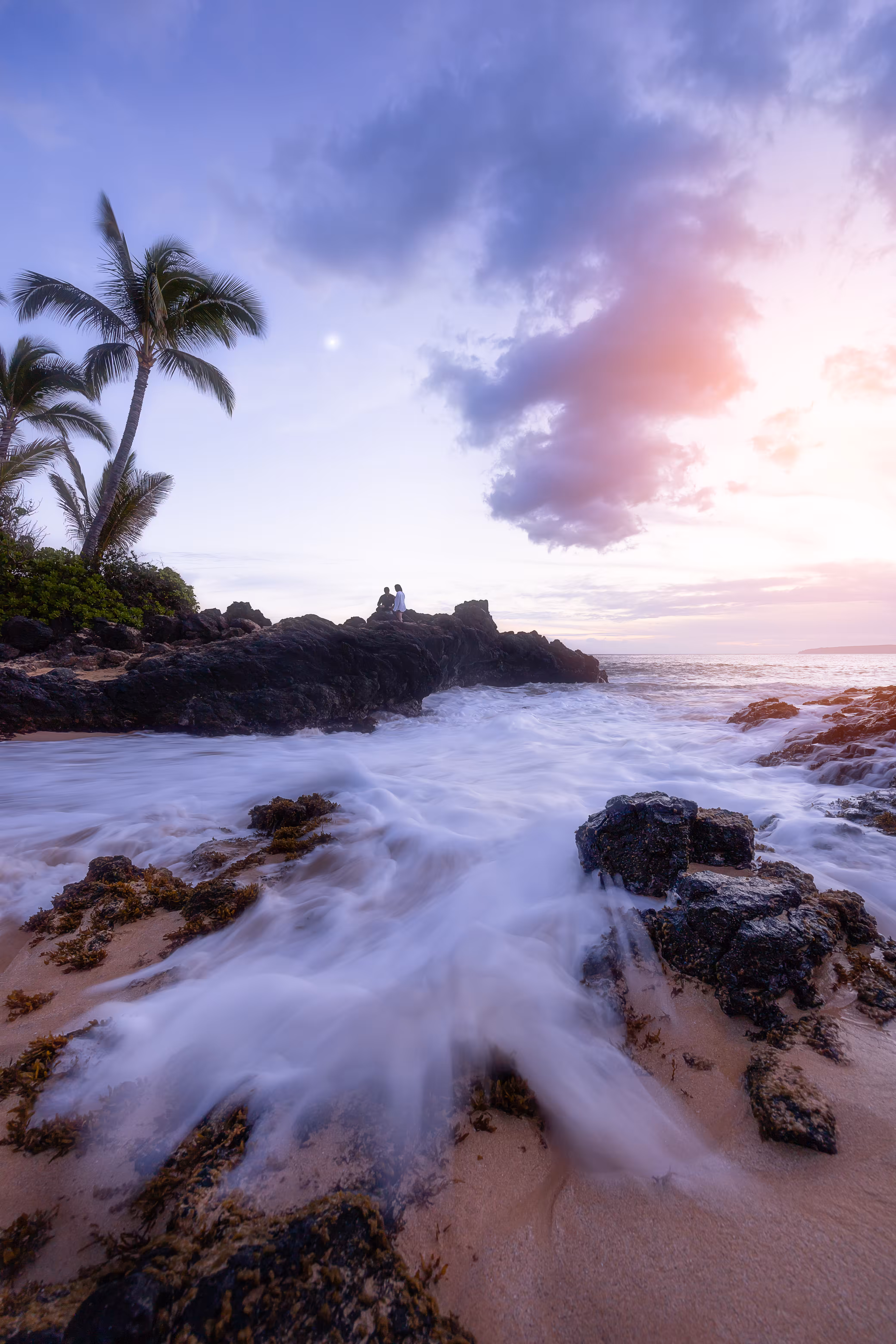 Hawaiian Dream