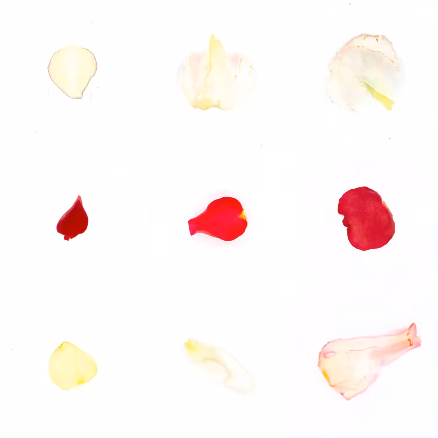 Infinite Petals 3x3#3440