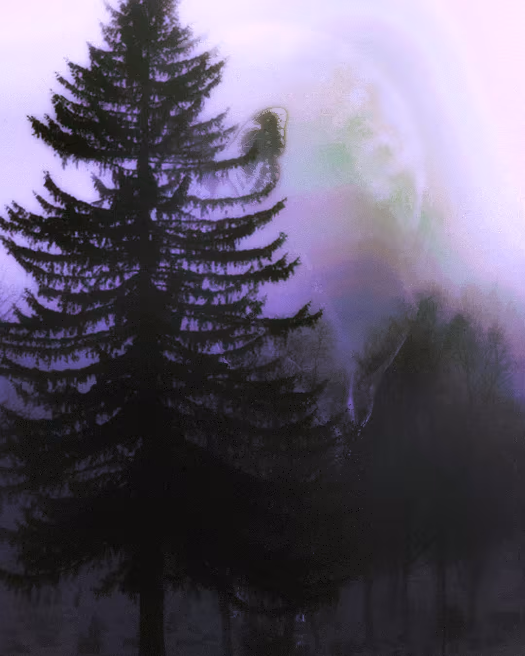 Butterfly Tree