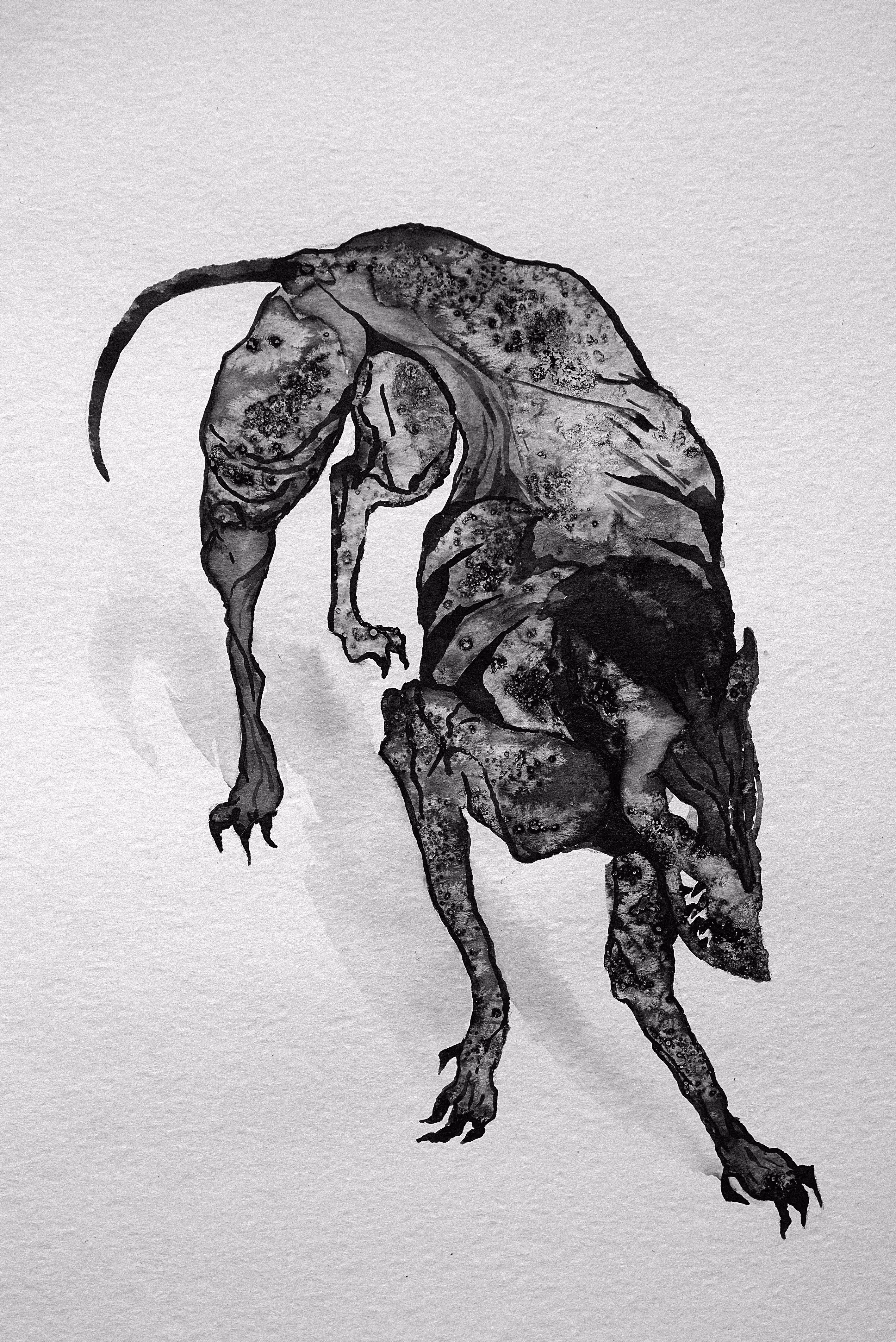 Bad Dog