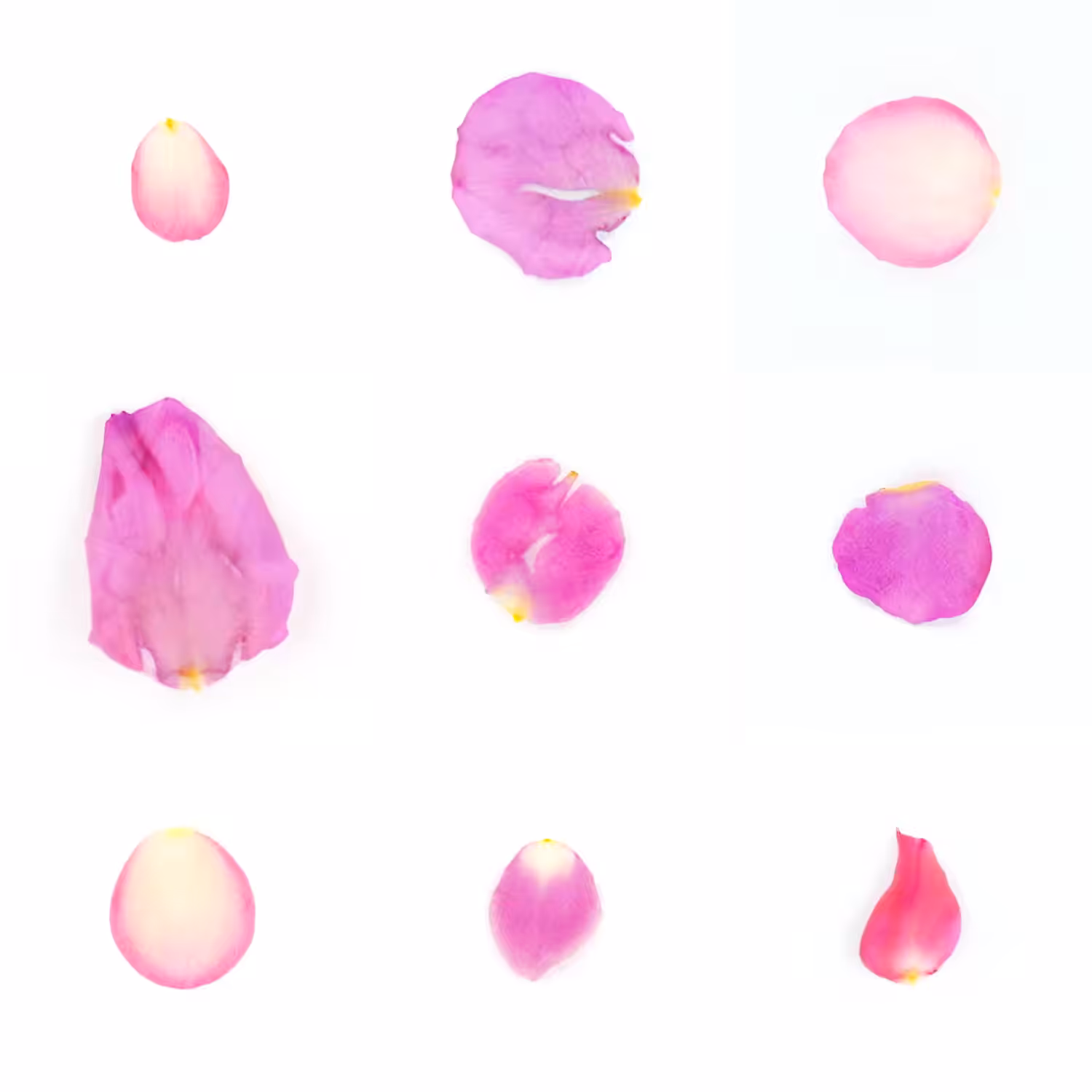 Infinite Petals 3x3#2743
