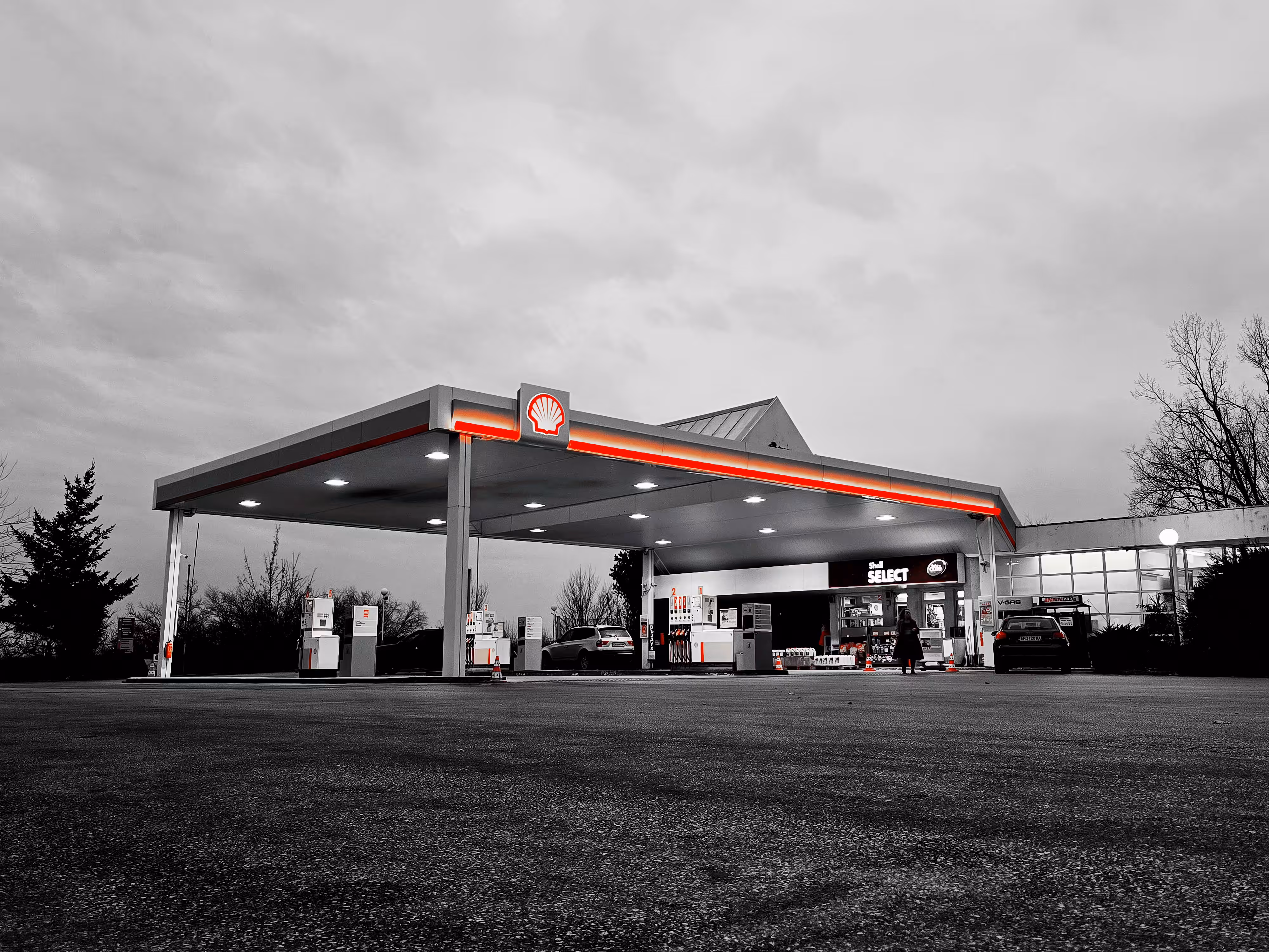 Oasis