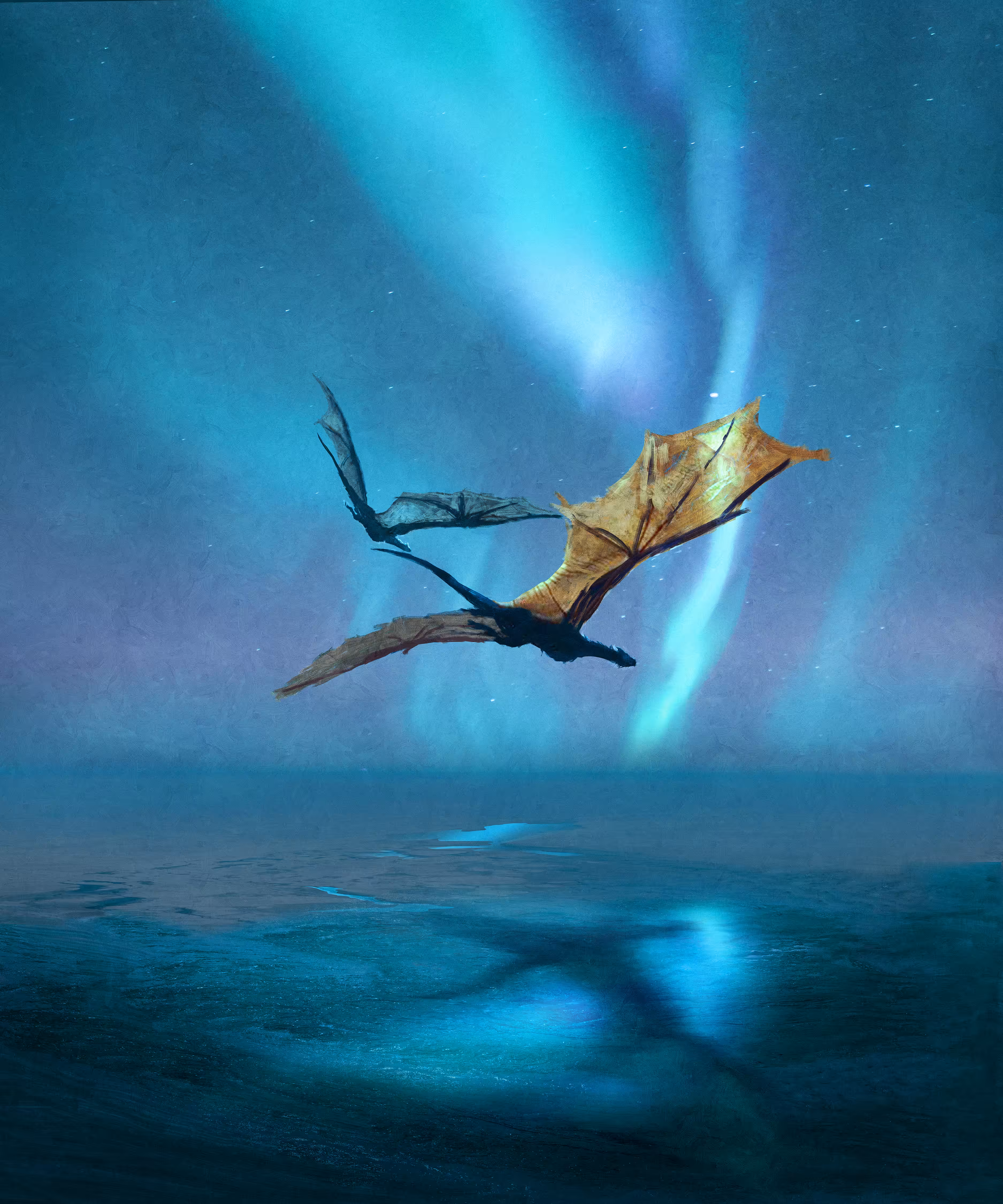 Aurora Dragons