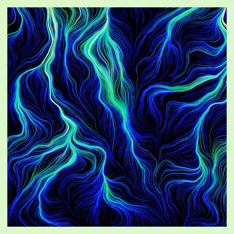 Roots #42