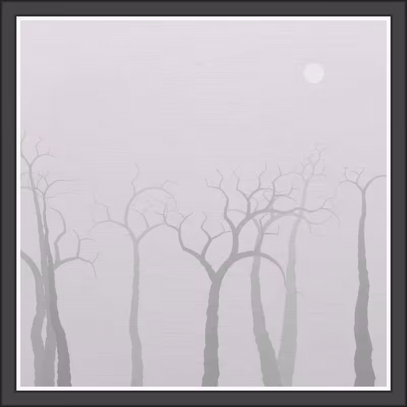 The Foggy Trees #61
