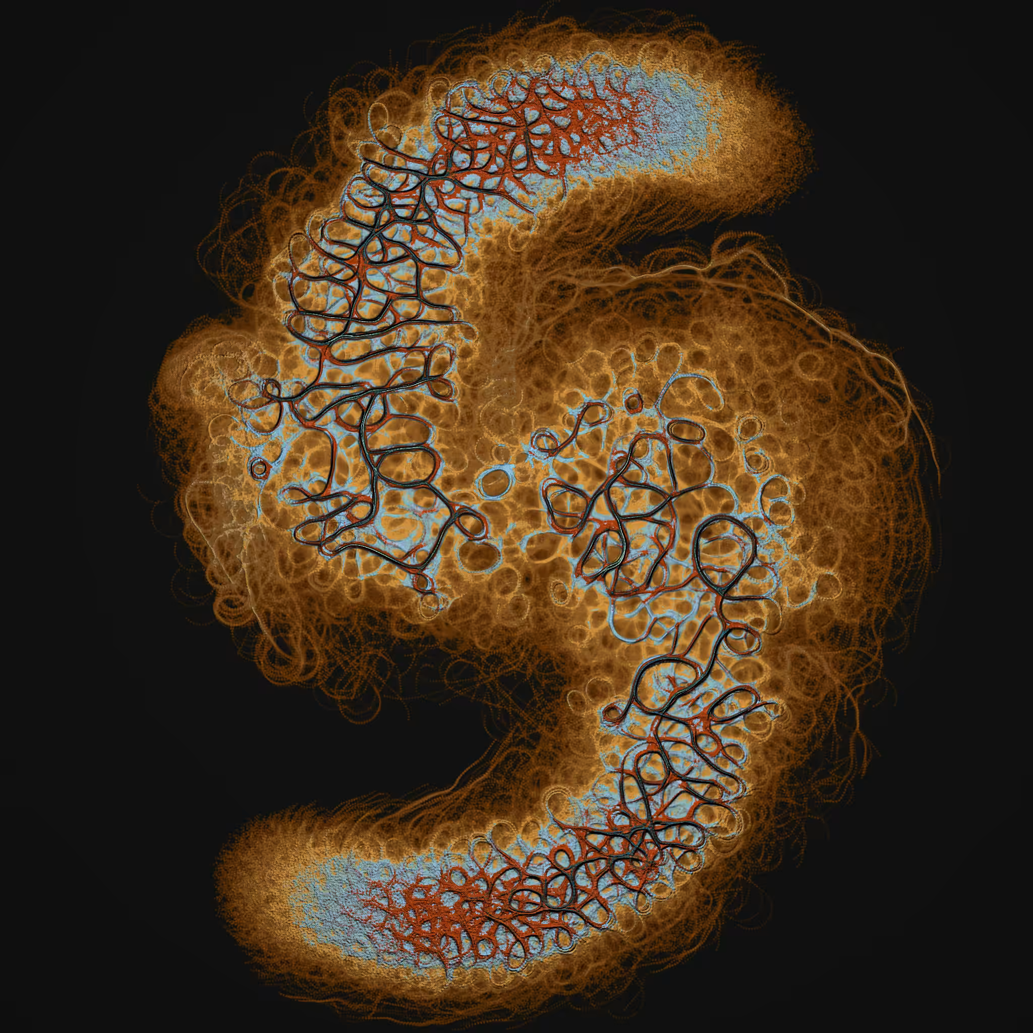coalescence #97