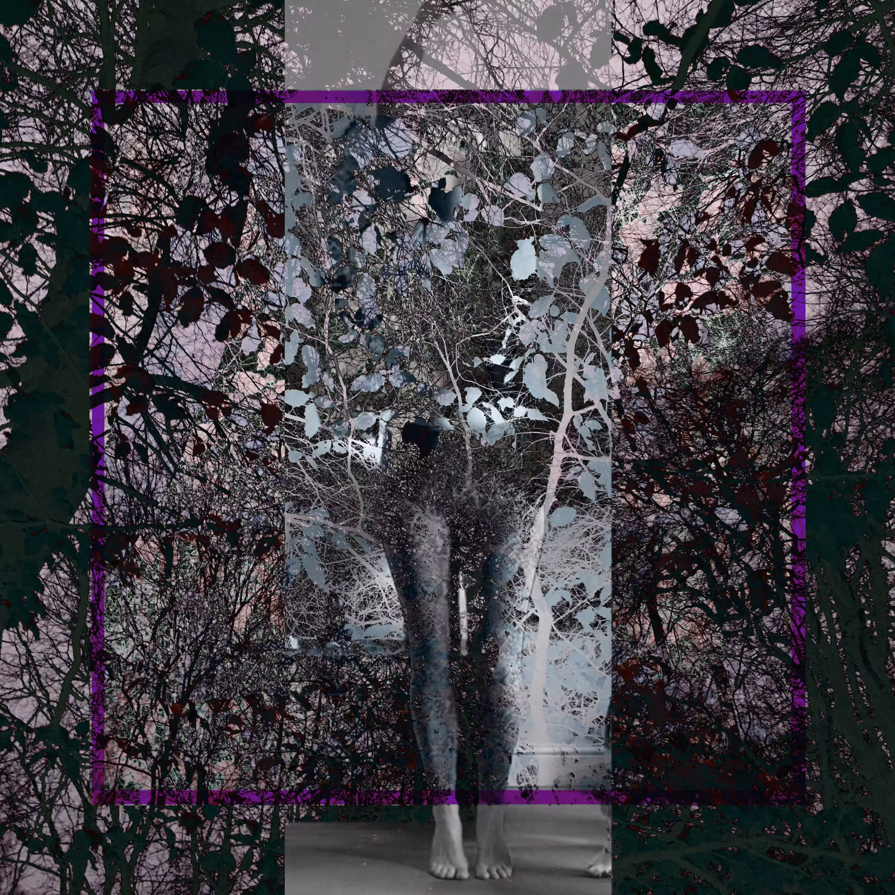Dark Forest #6