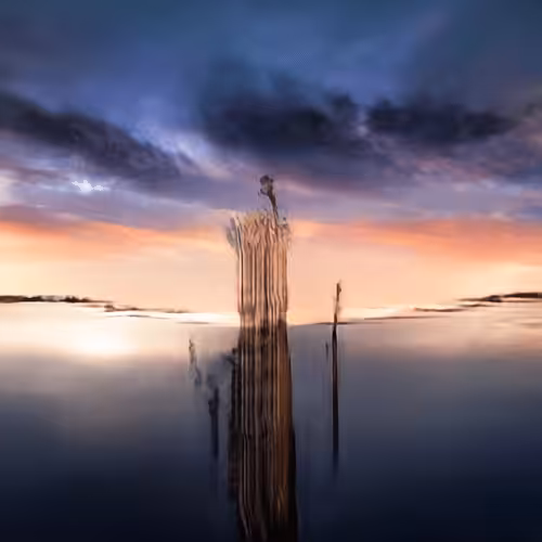 The Innominate