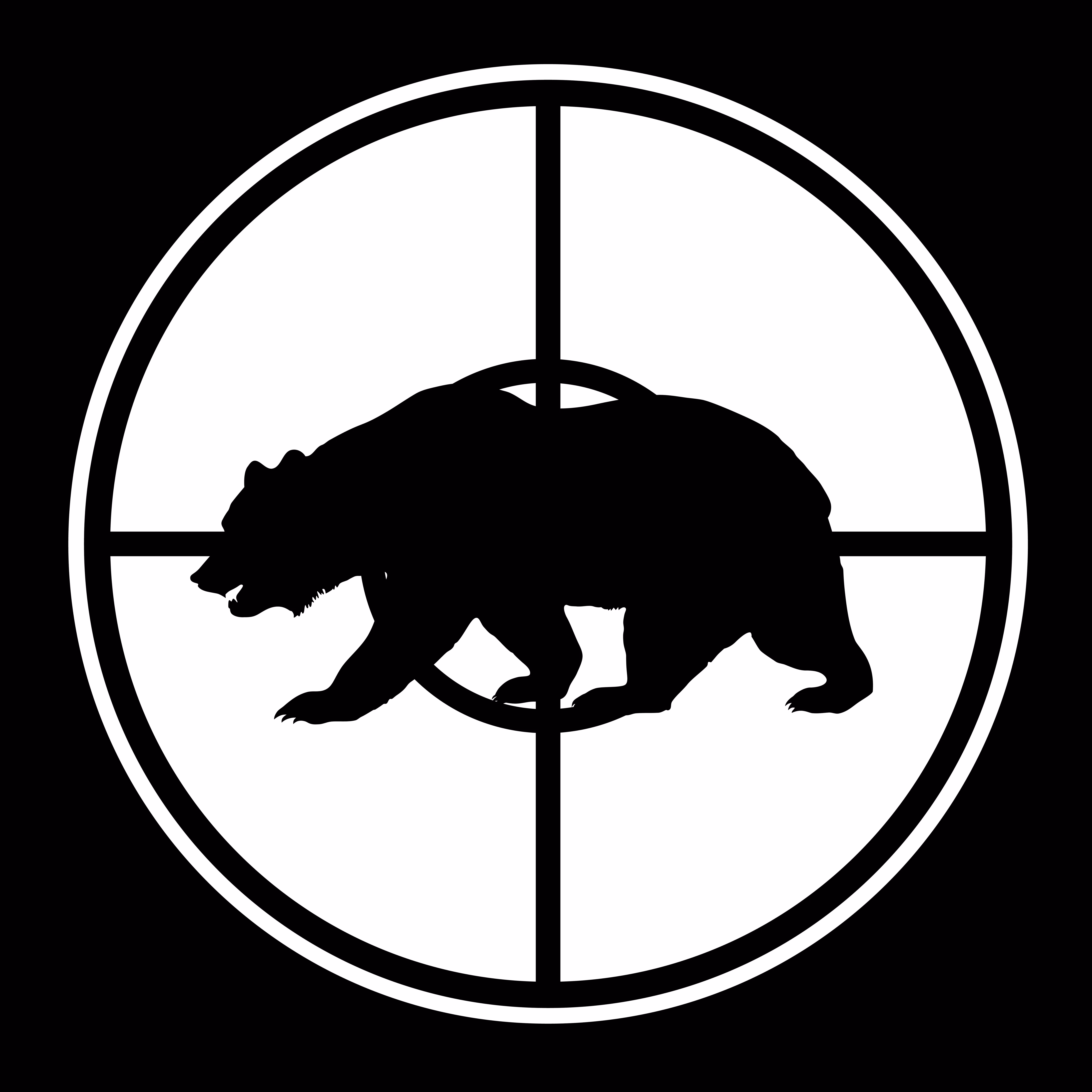 Kill The Bear