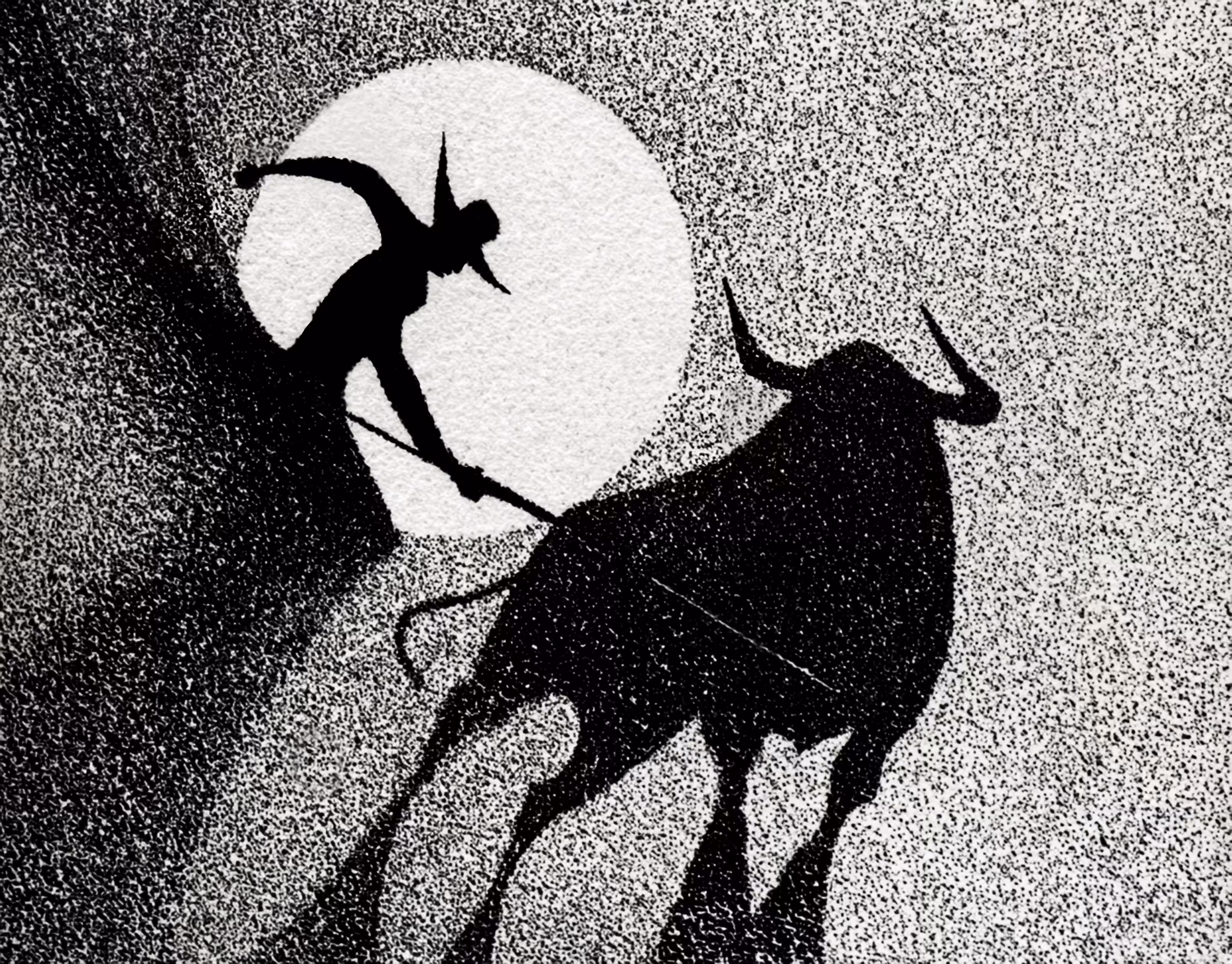Shadow Paso Doble