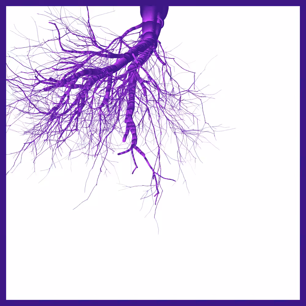 Arbres suspendus #72