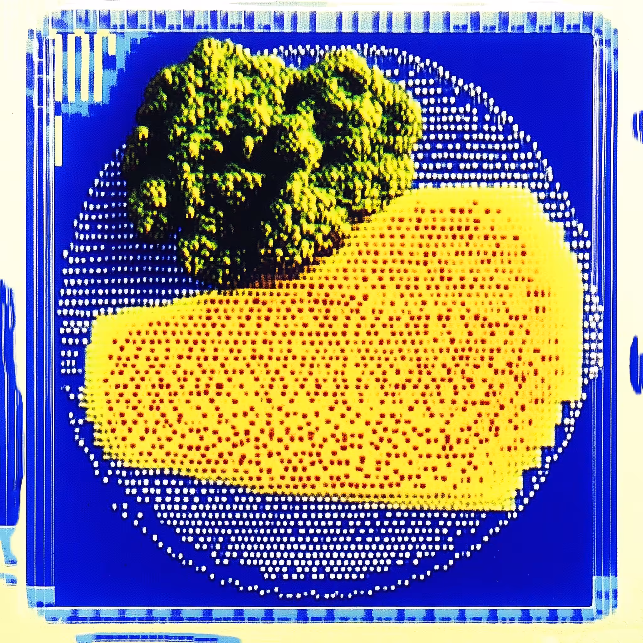1975 𝘛𝘝 𝘋𝘪𝘯𝘯𝘦𝘳