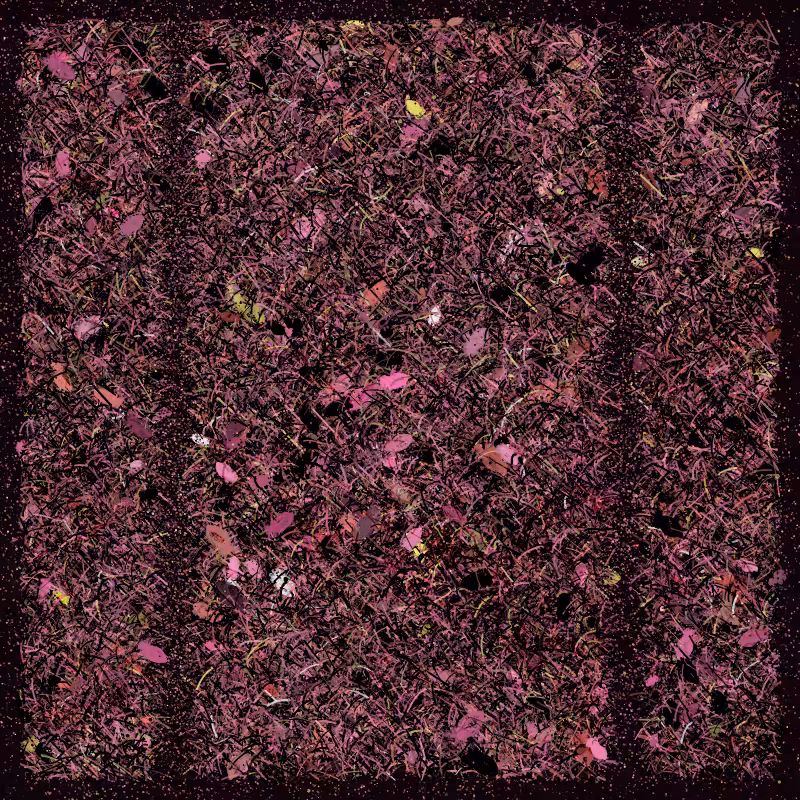 Into the Forestland #45