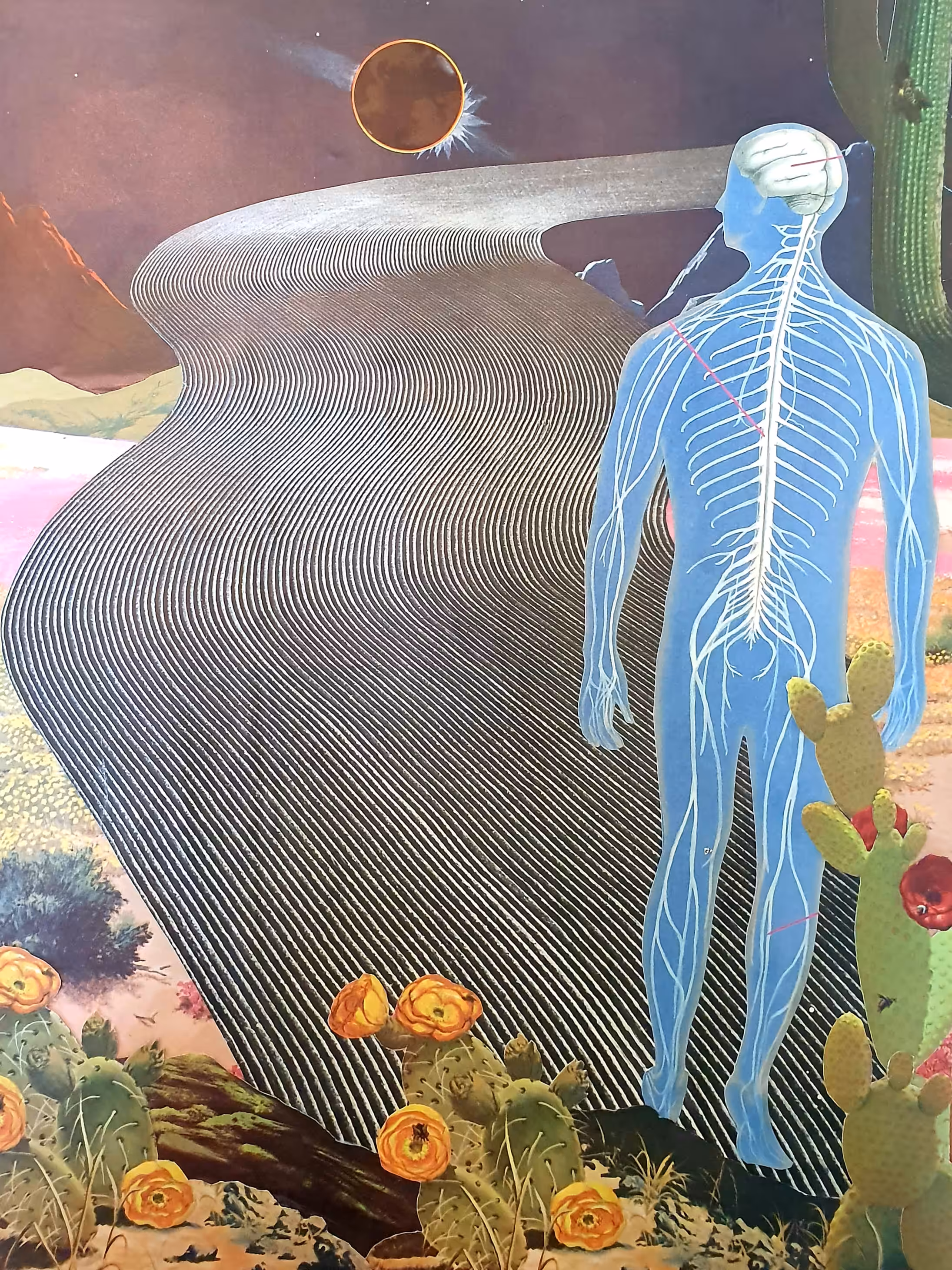 Journey Through the Mind