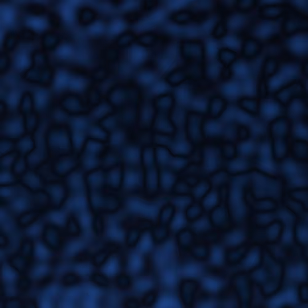 Inner Turmoil #7