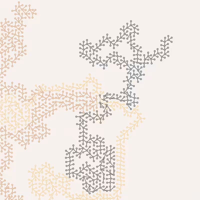 Networks #65