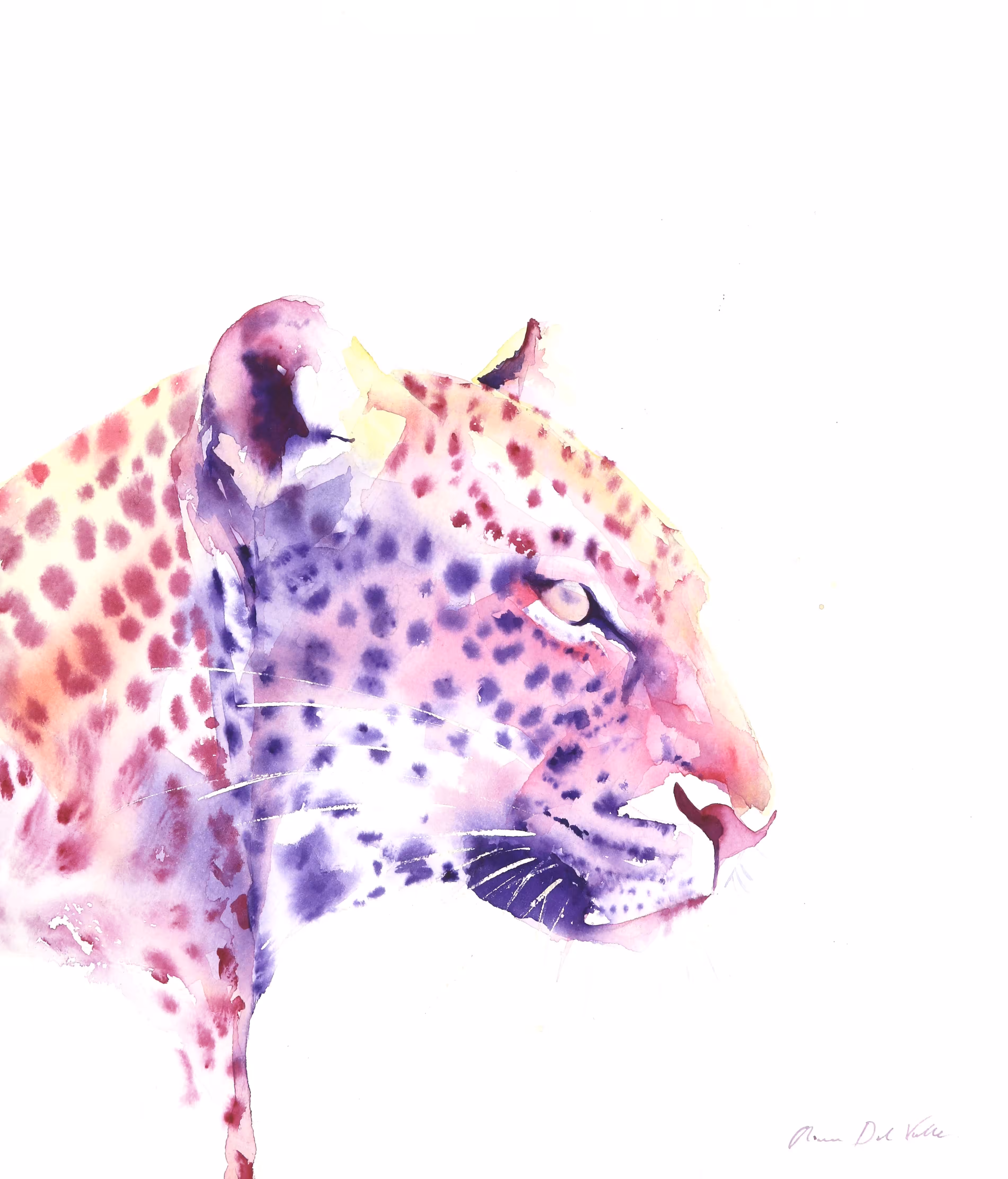 Sri Lankan Leopard