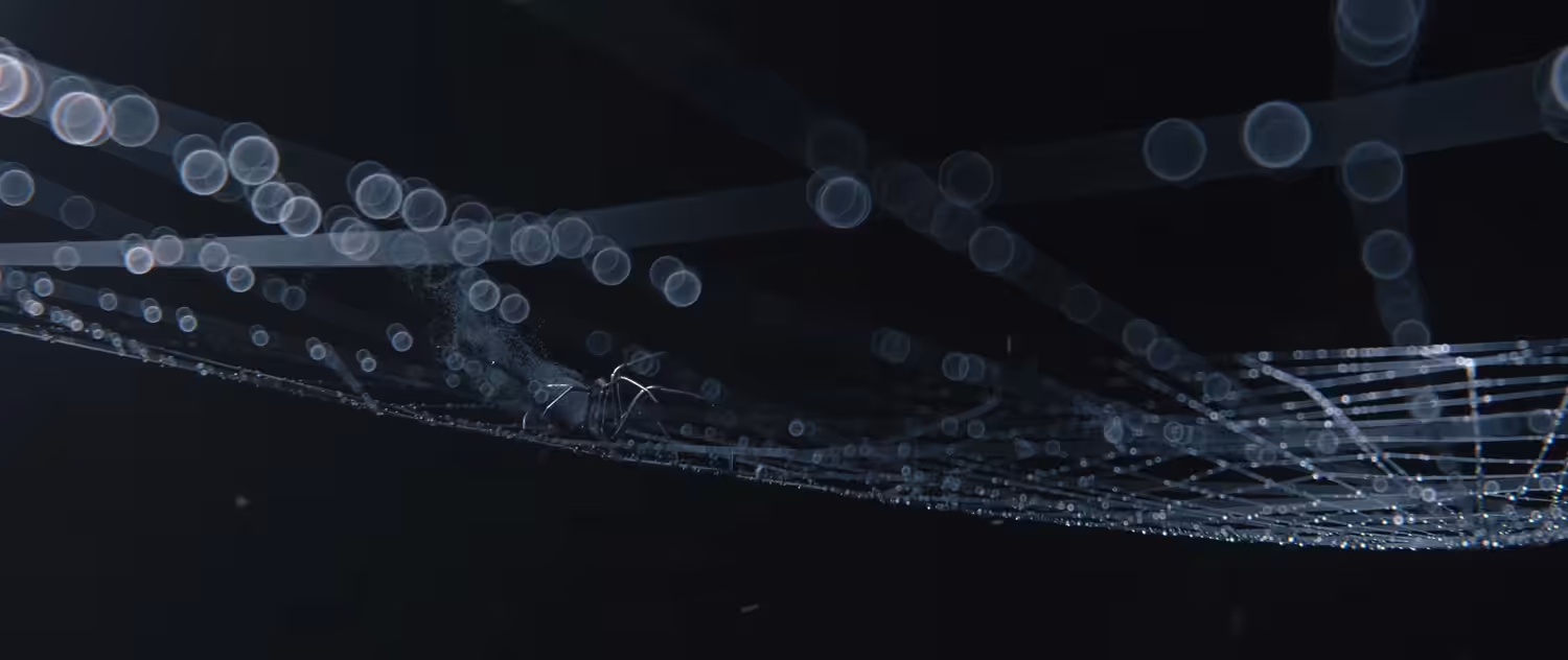 Arachnophobia