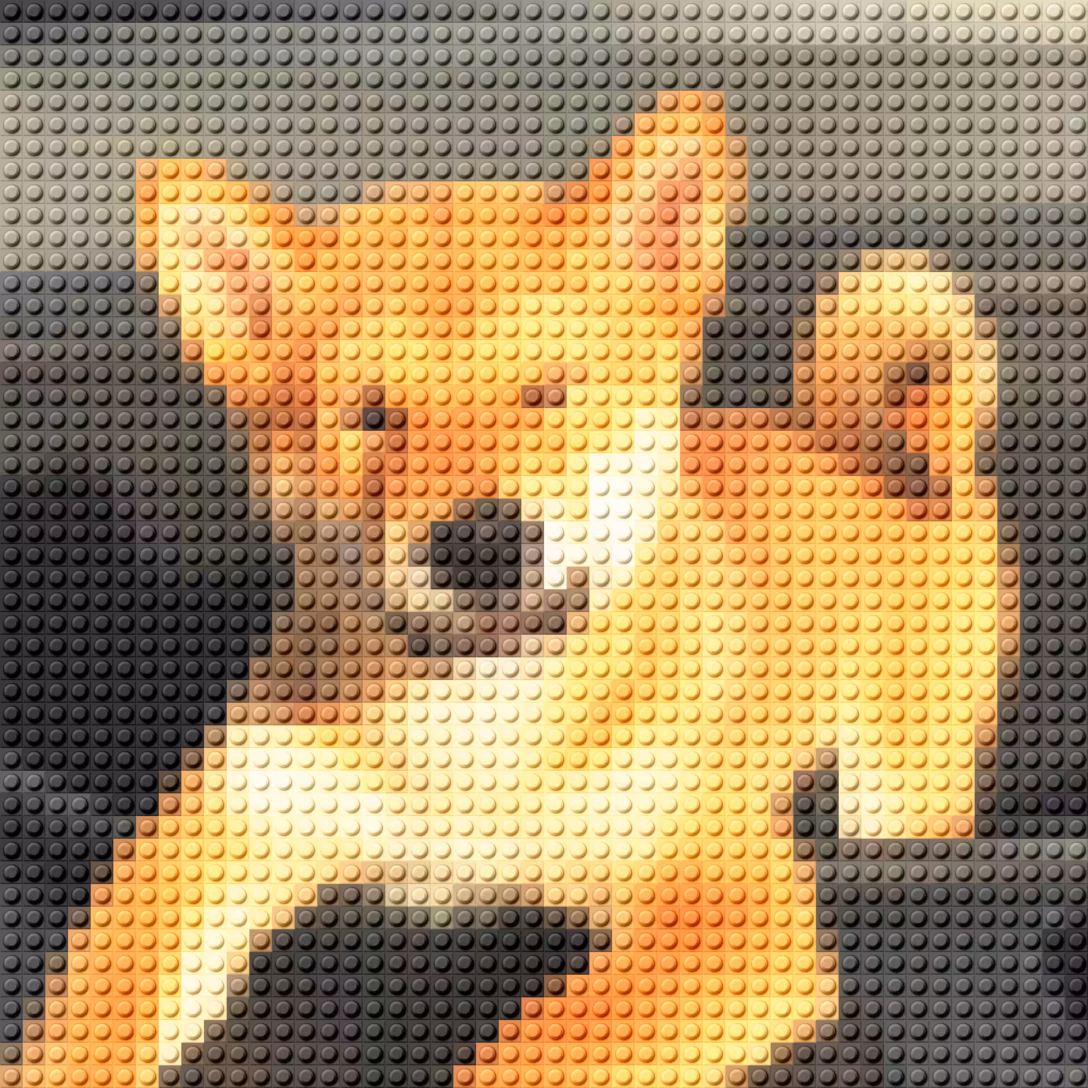 Floki Frunkpuppy