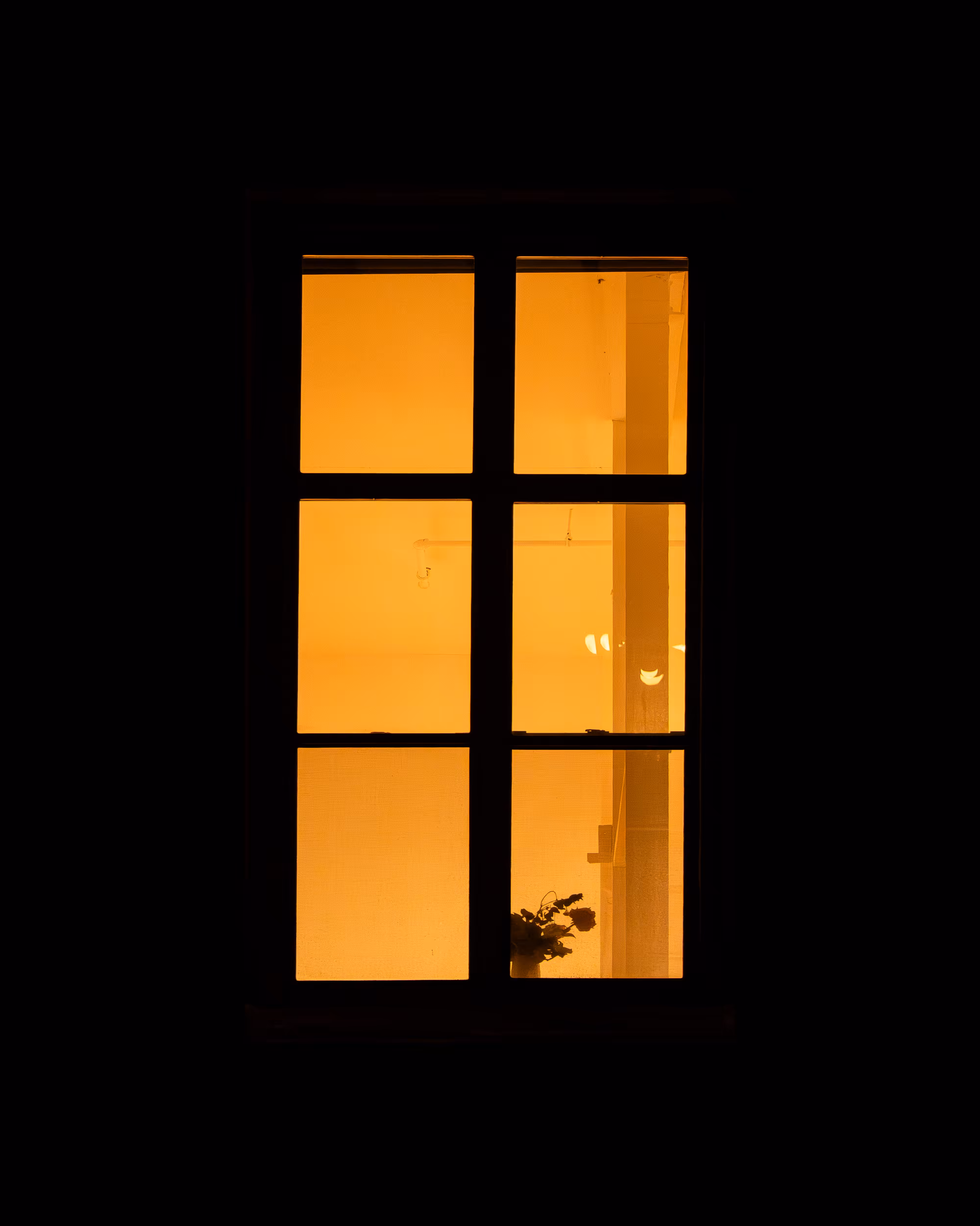 WINDOWS // NYC: WINDOW 925