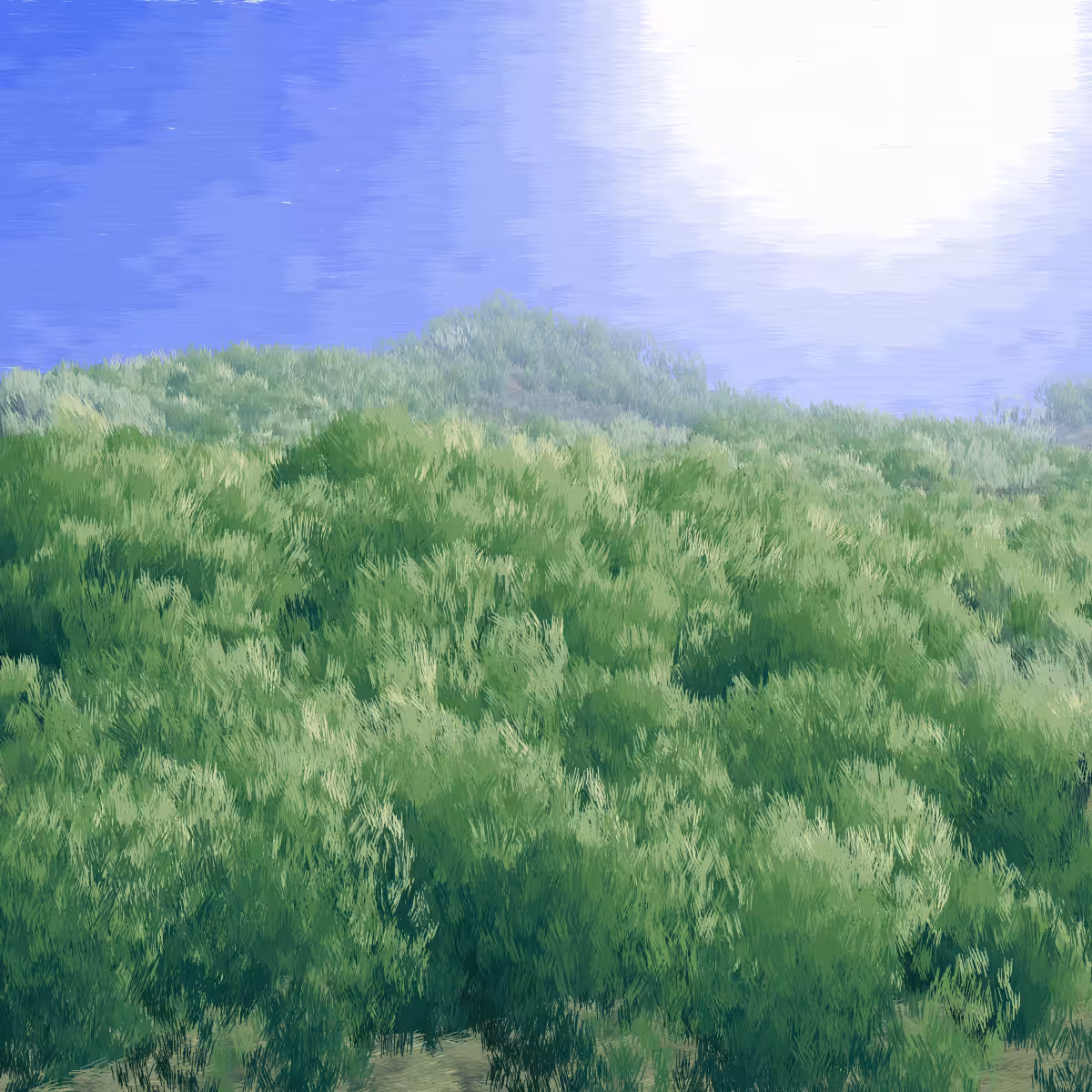 Provence #210