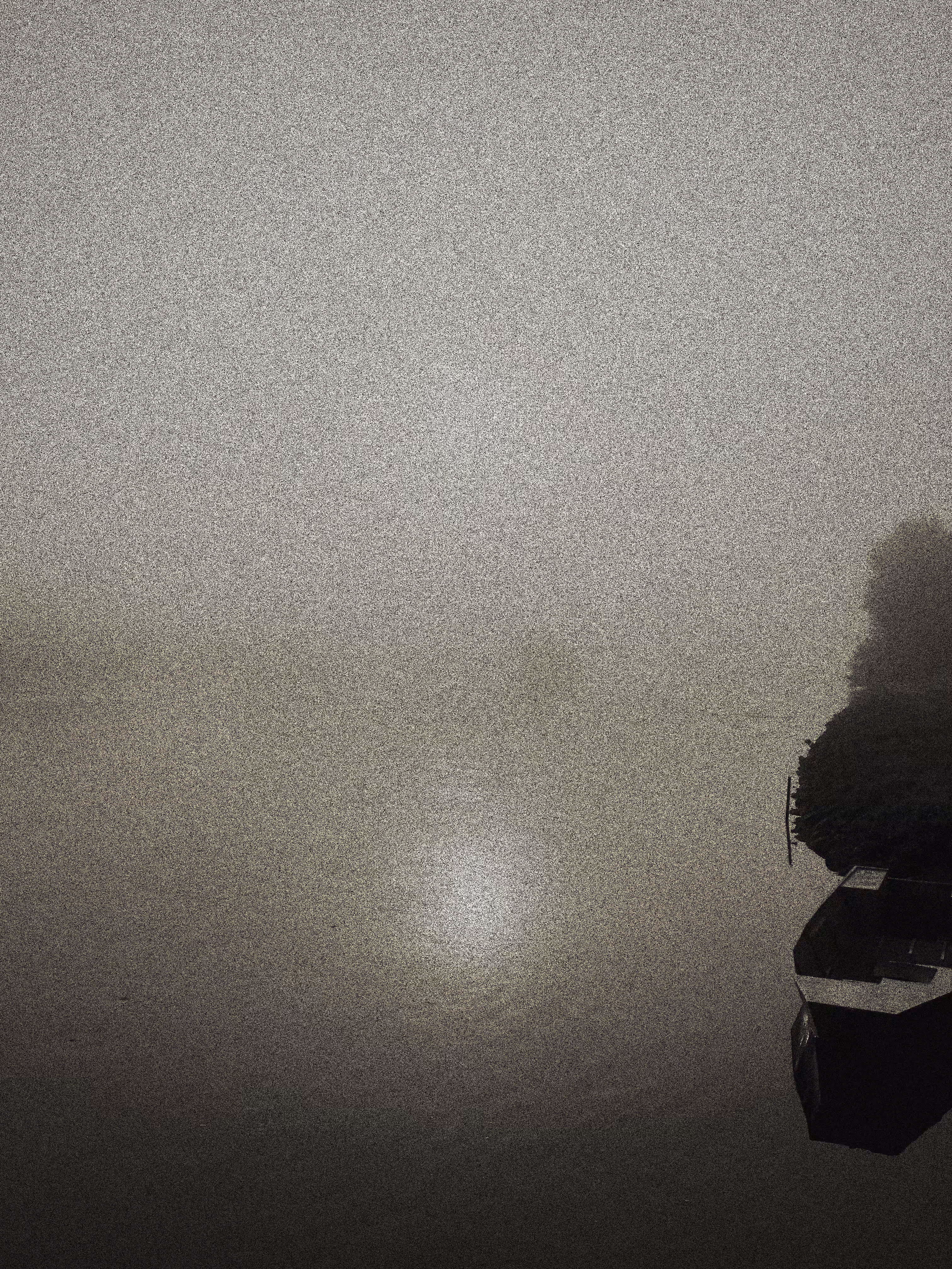 The fog