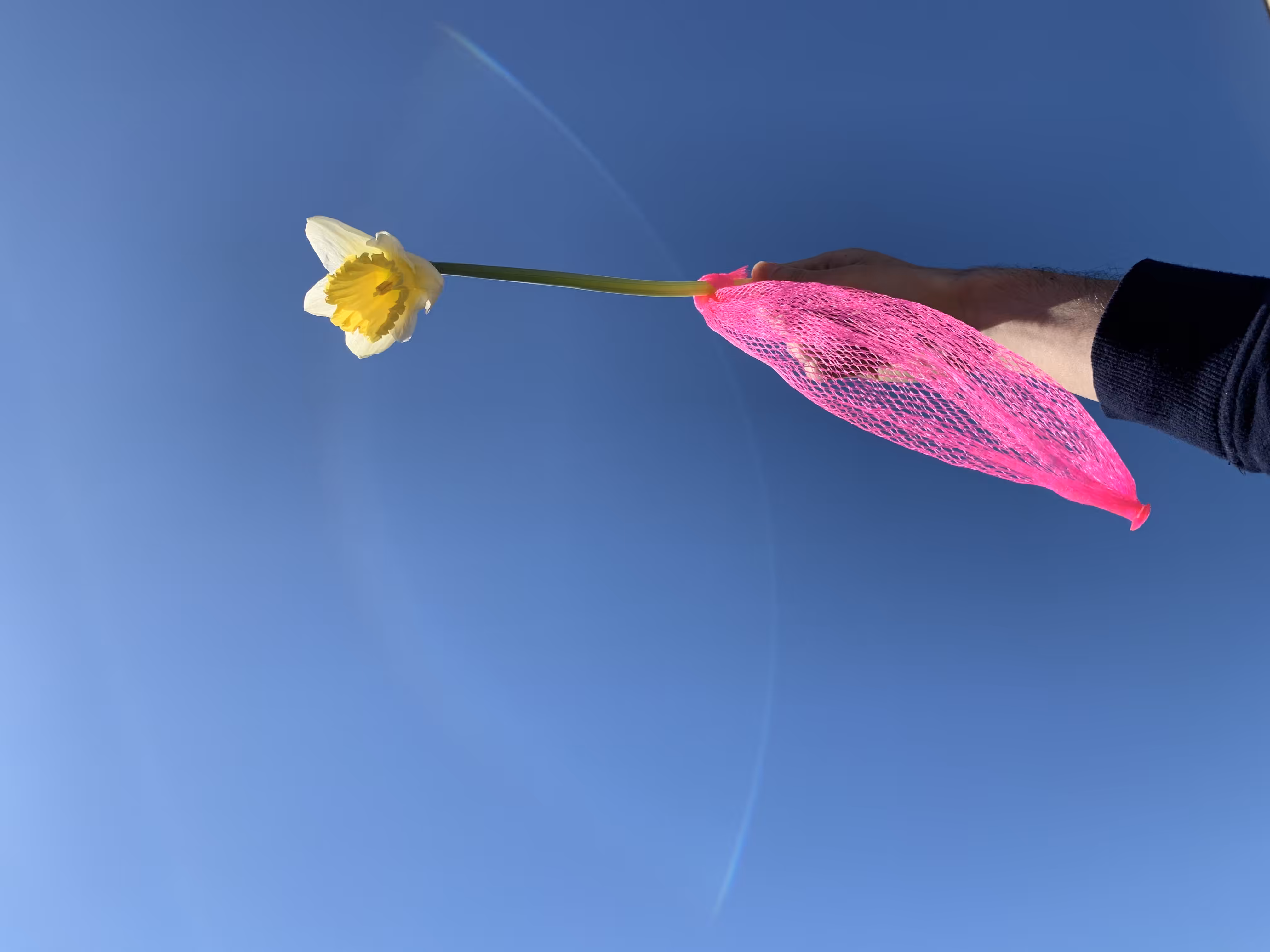Flowhim