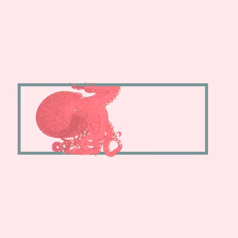 the generative octopuses #69