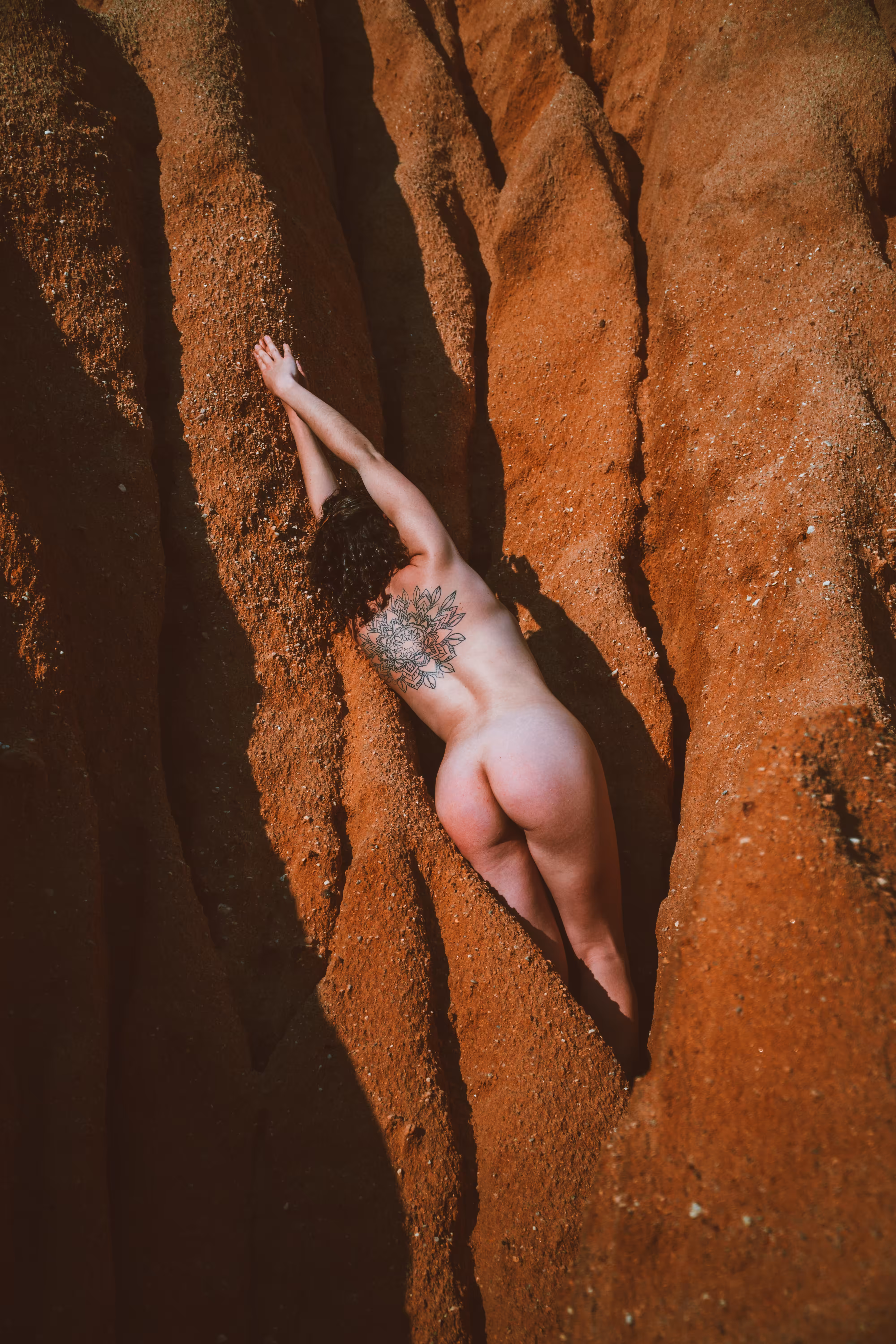 Where the wild things are #04