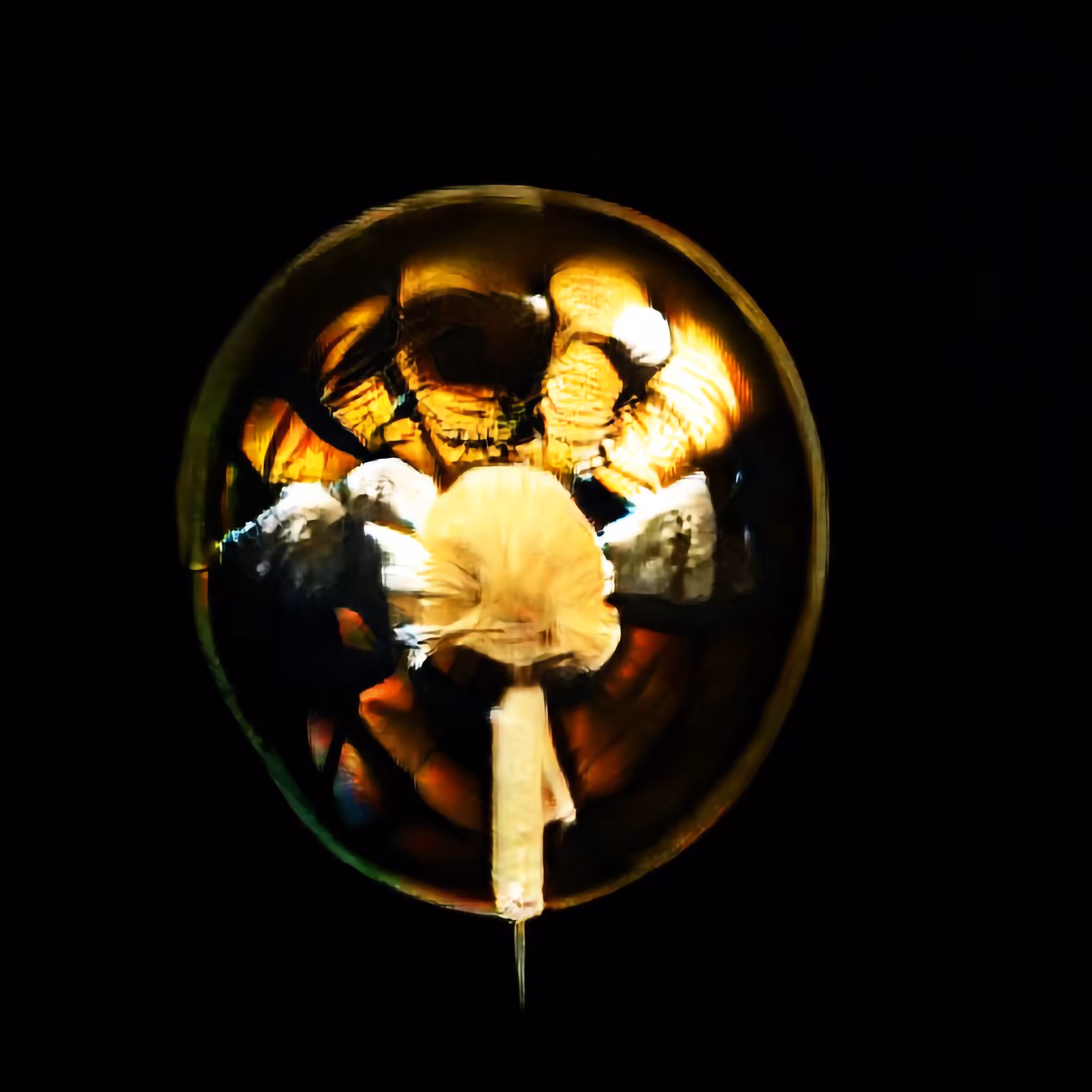 TimePic #003